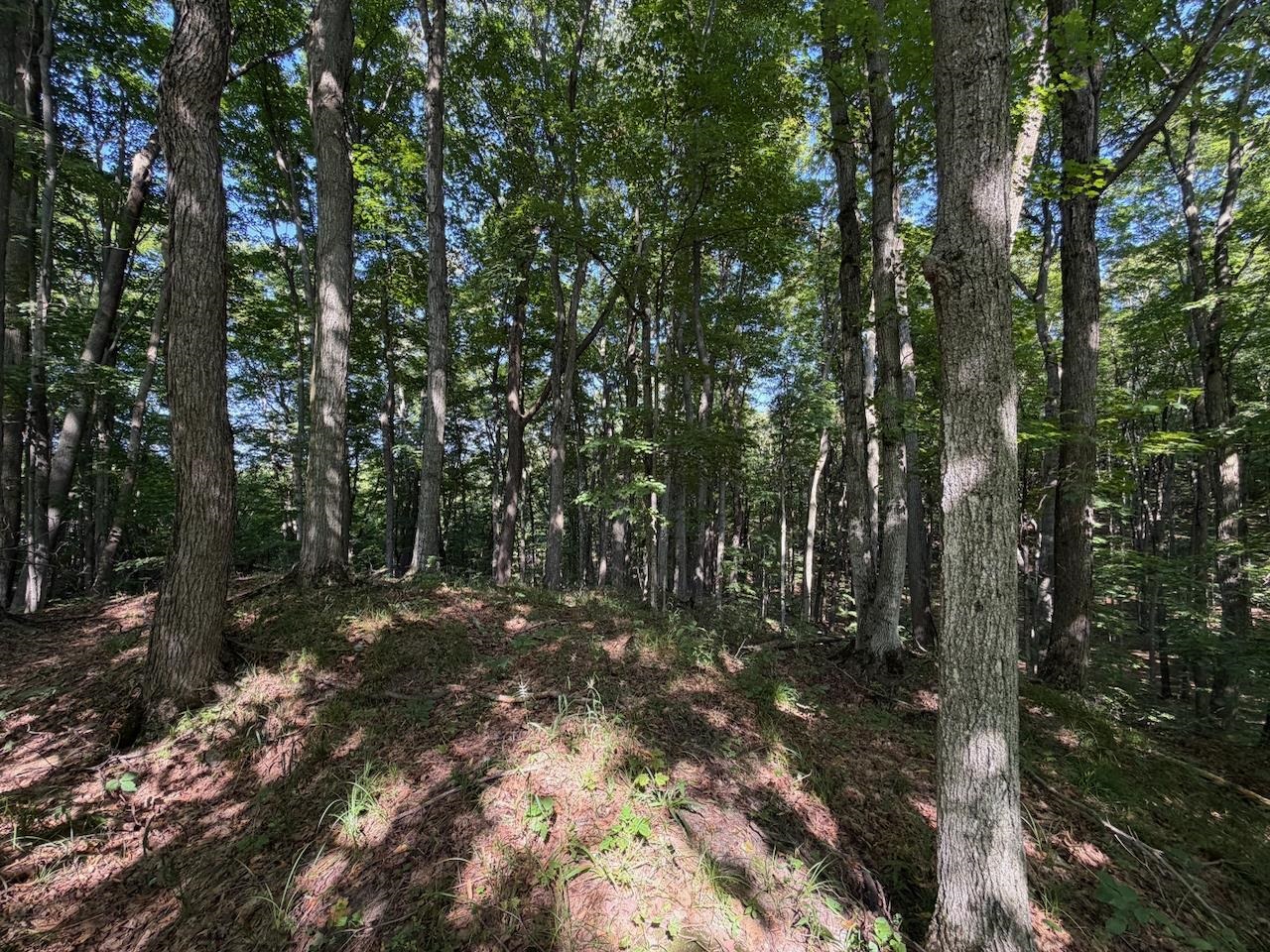 Unit 14 Ranch Drive Property Photo 16