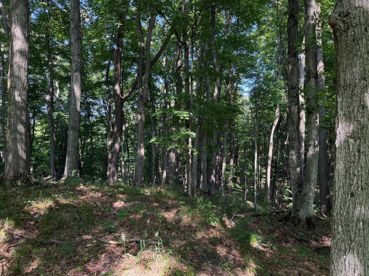 Unit 14 Ranch Drive Property Photo 17