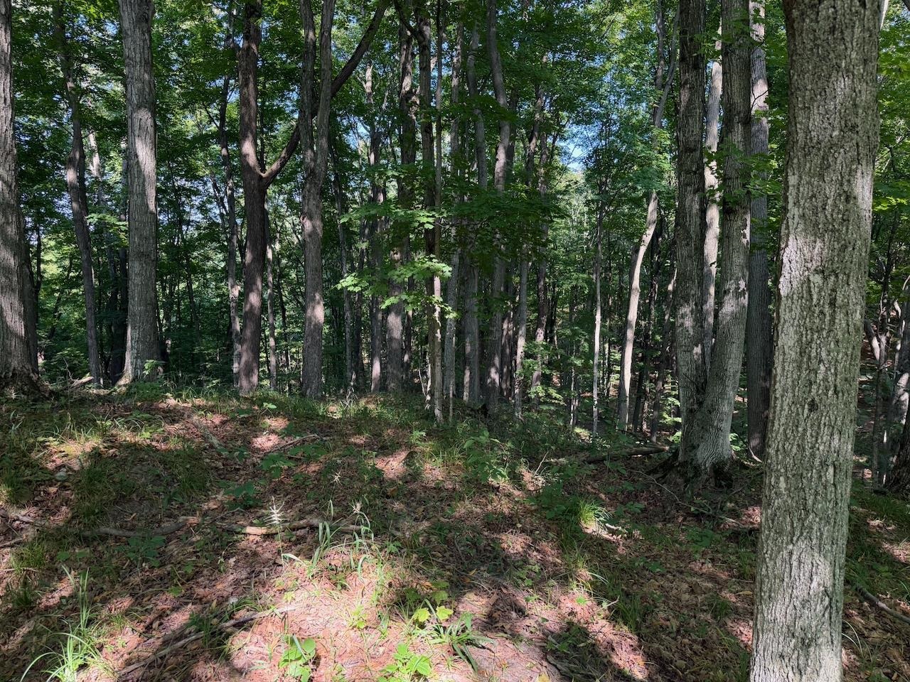 Unit 14 Ranch Drive Property Photo 18