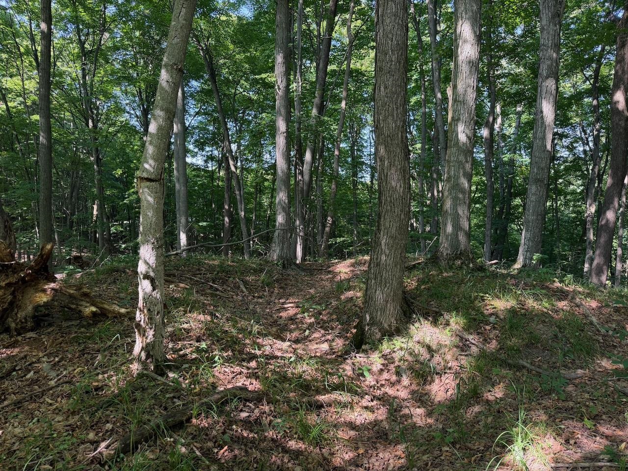 Unit 14 Ranch Drive Property Photo 19