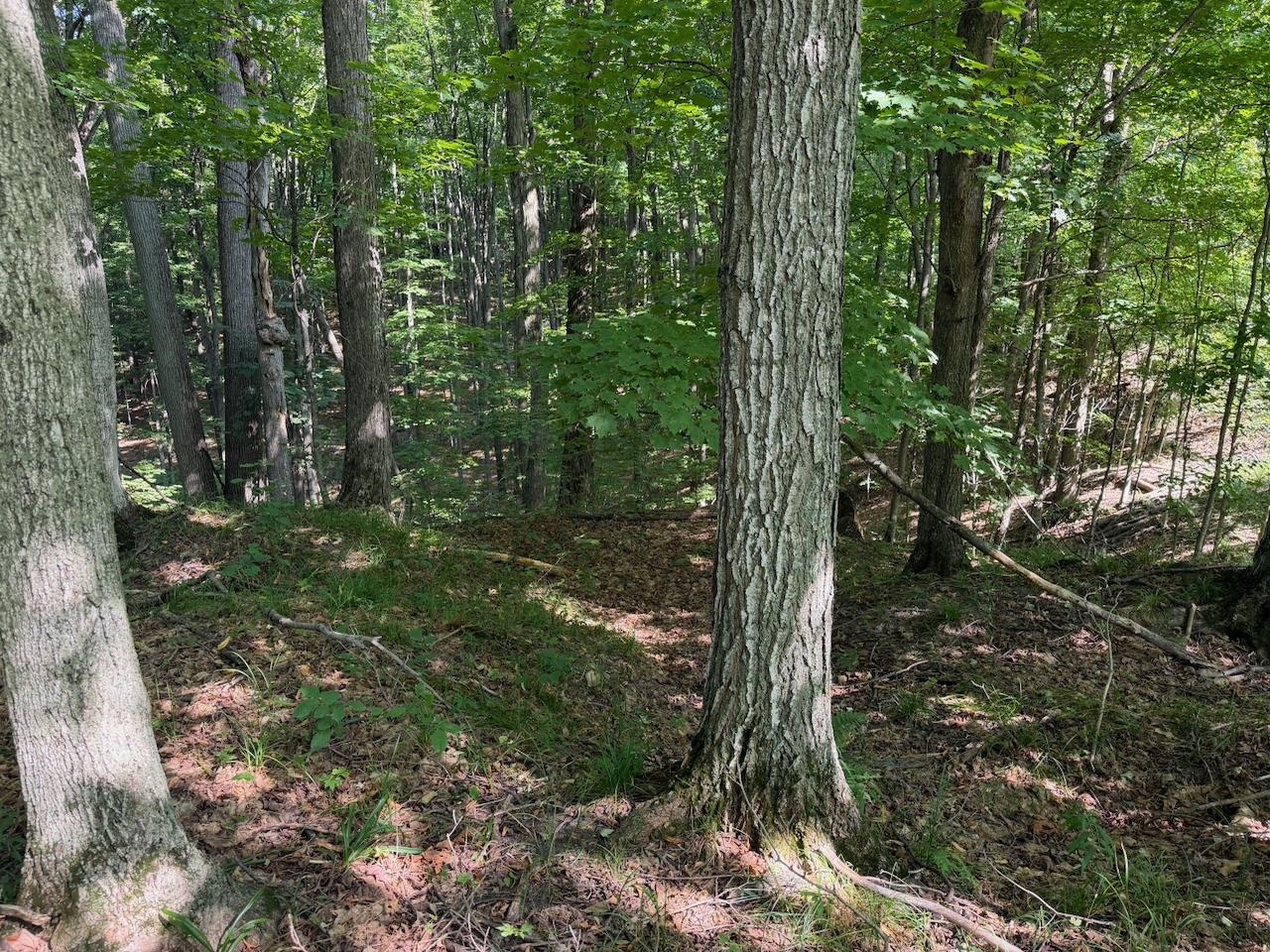 Unit 14 Ranch Drive Property Photo 21