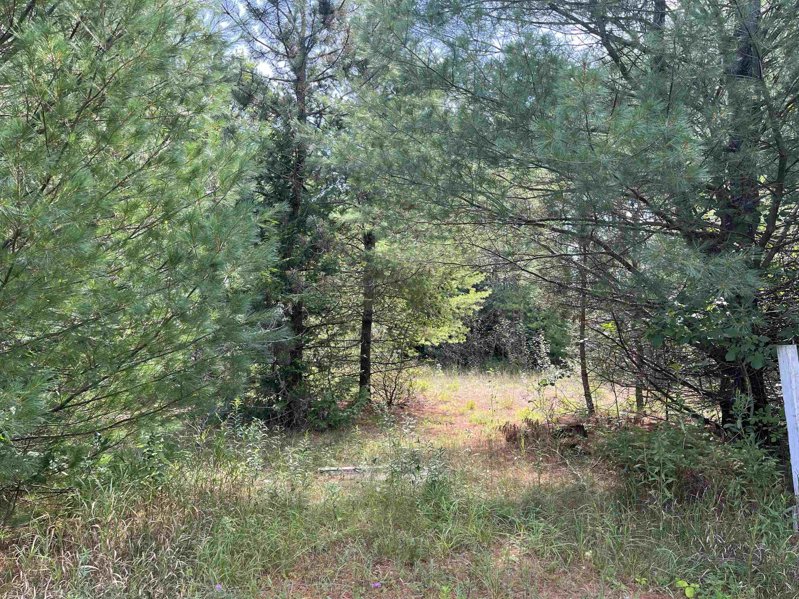 0 Cedar Lake Road Property Photo 1
