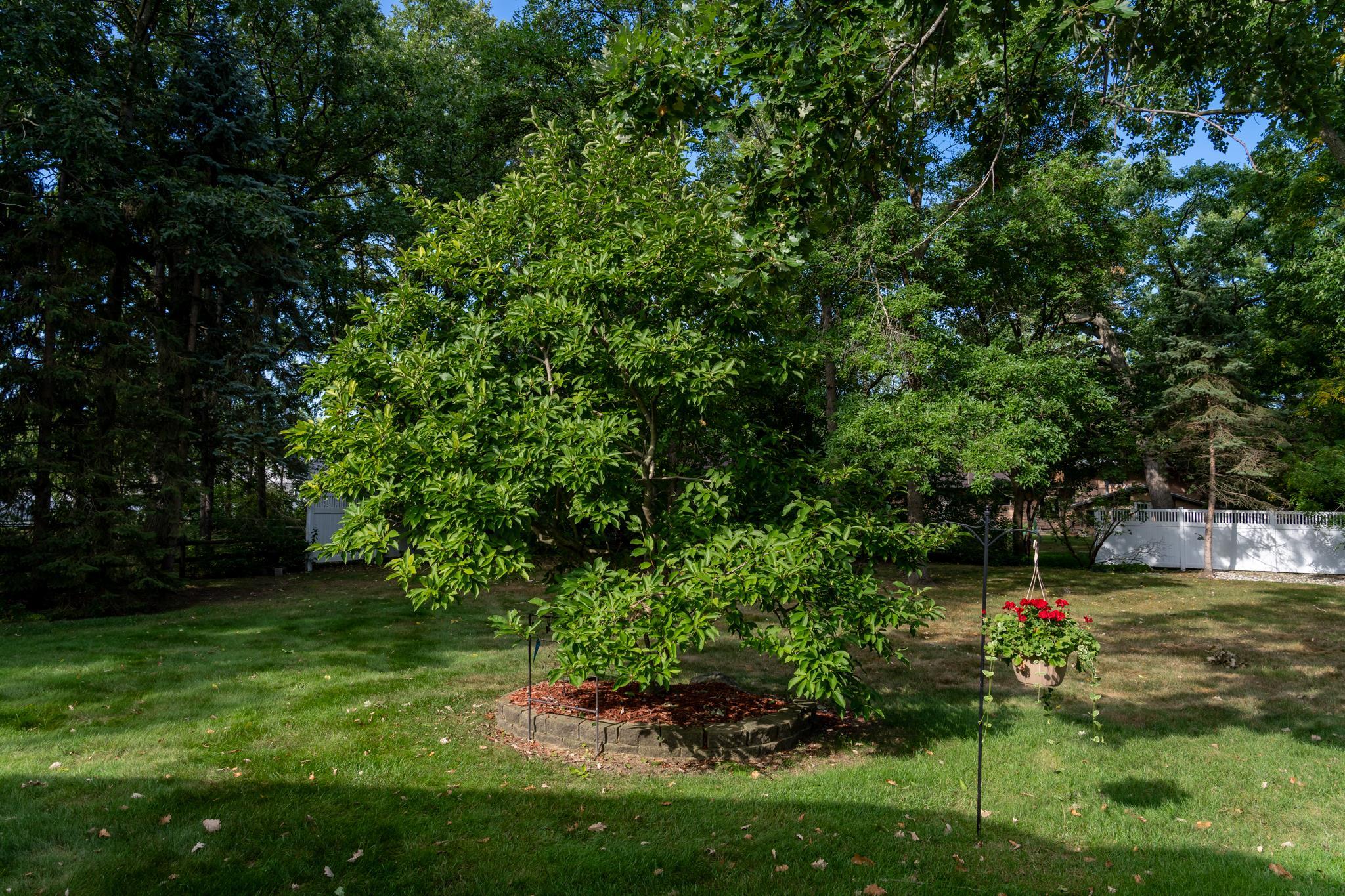 613 Kane Street Property Photo 38