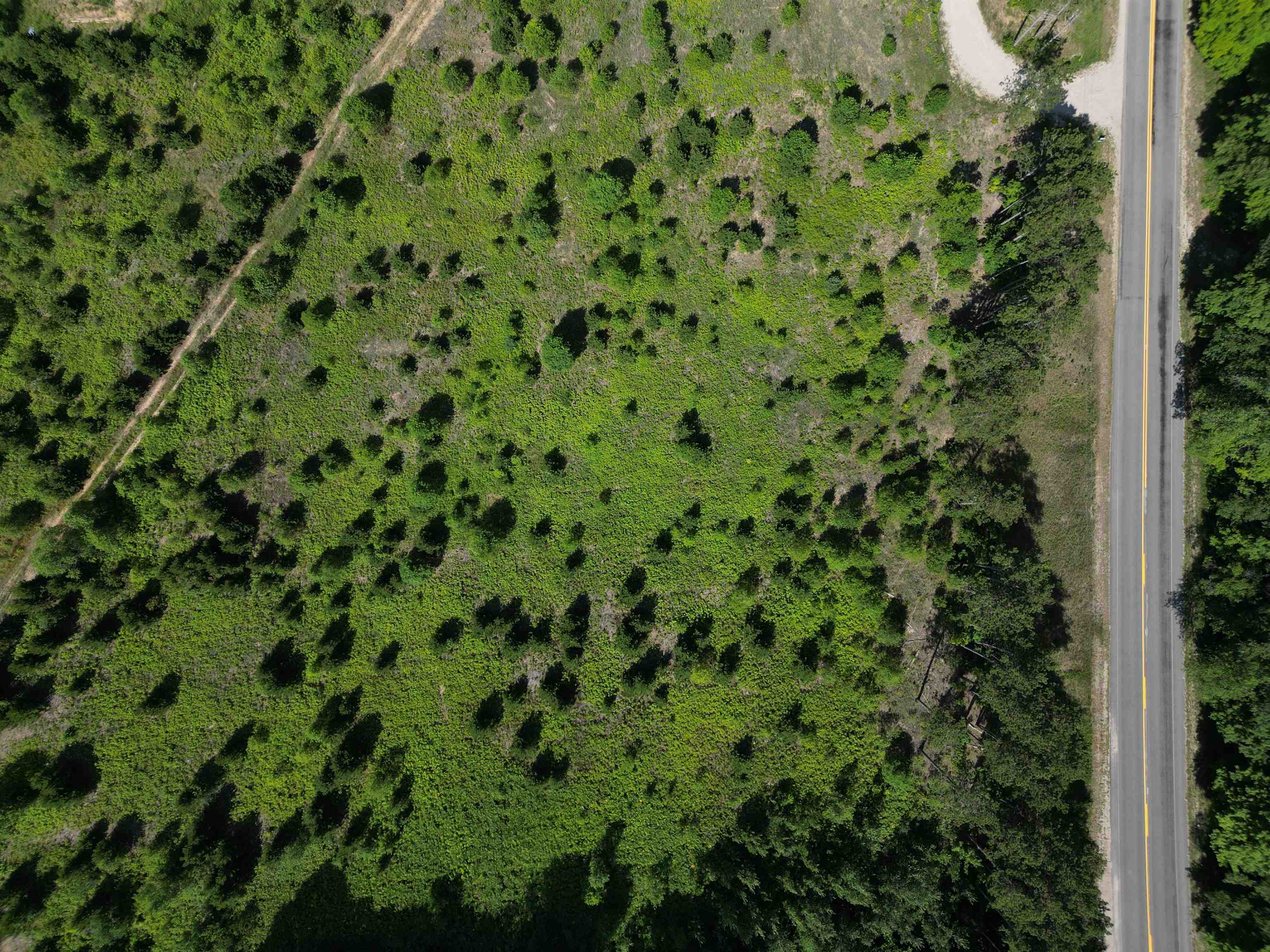 A5 E Kasson Road Property Photo 4