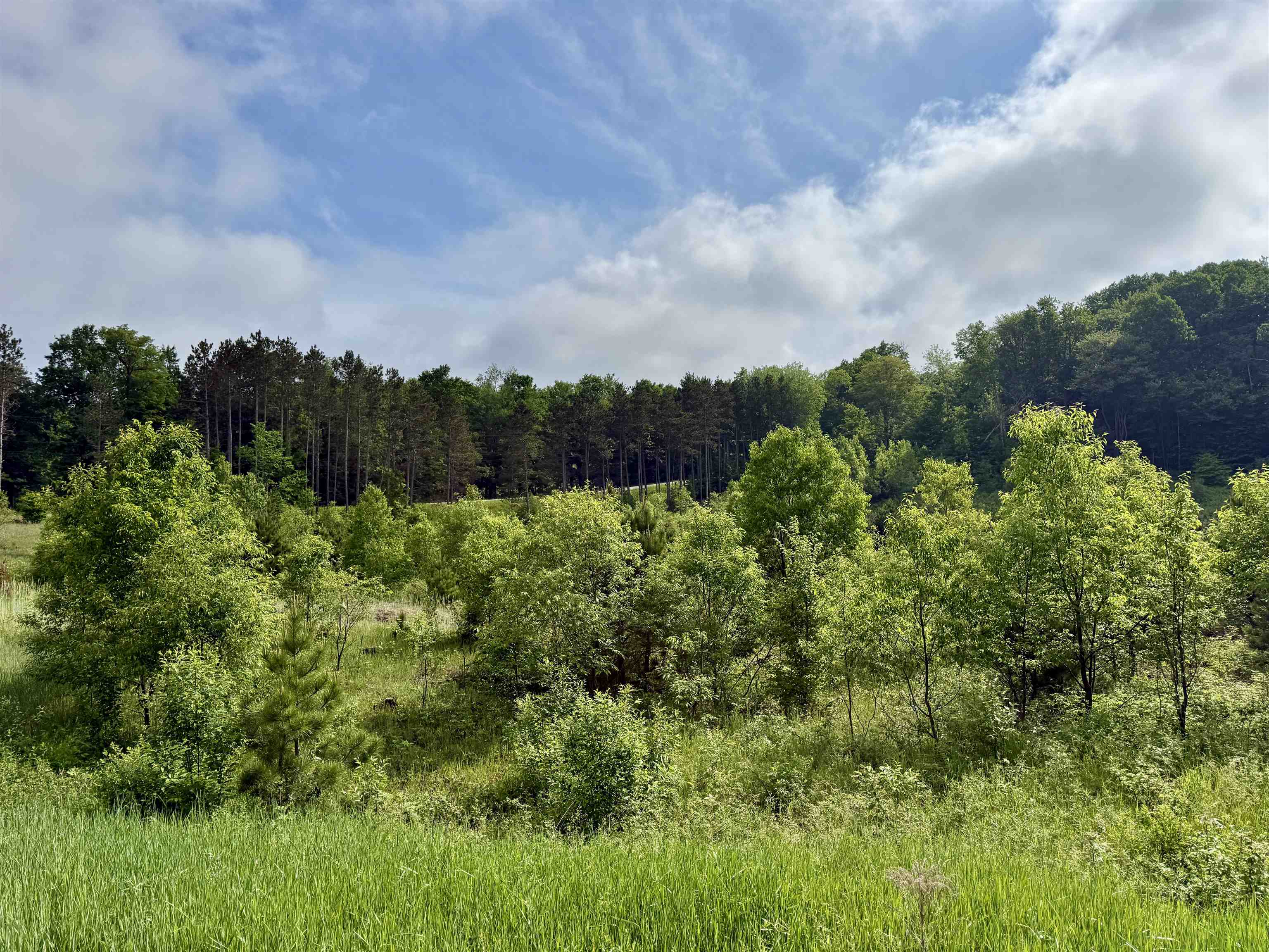 A5 E Kasson Road Property Photo 14