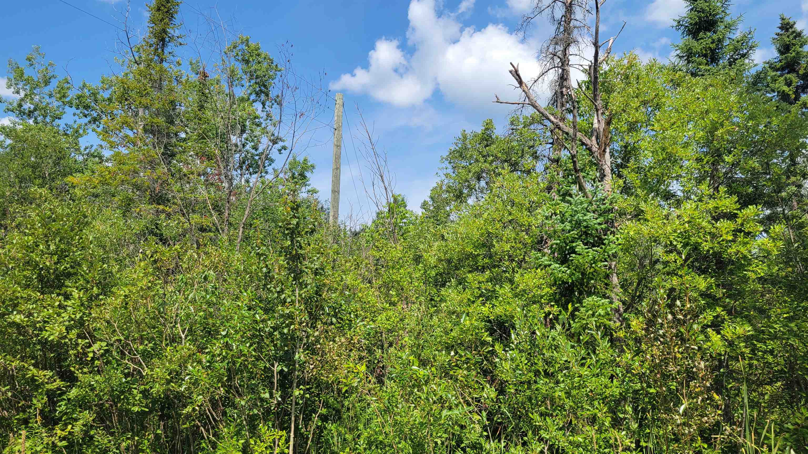 15225 Lakeview Drive Property Photo 1