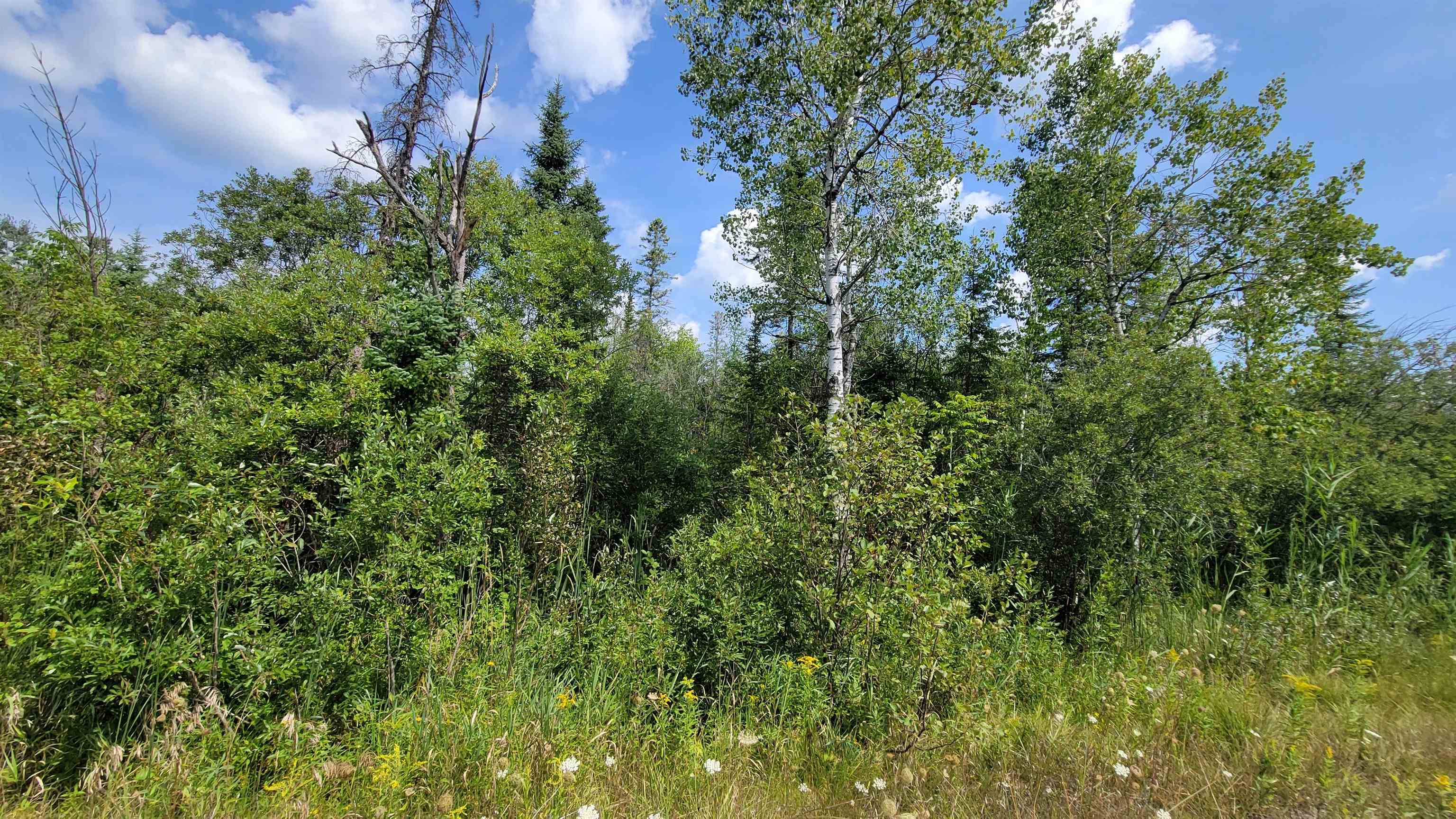 15225 Lakeview Drive Property Photo 4