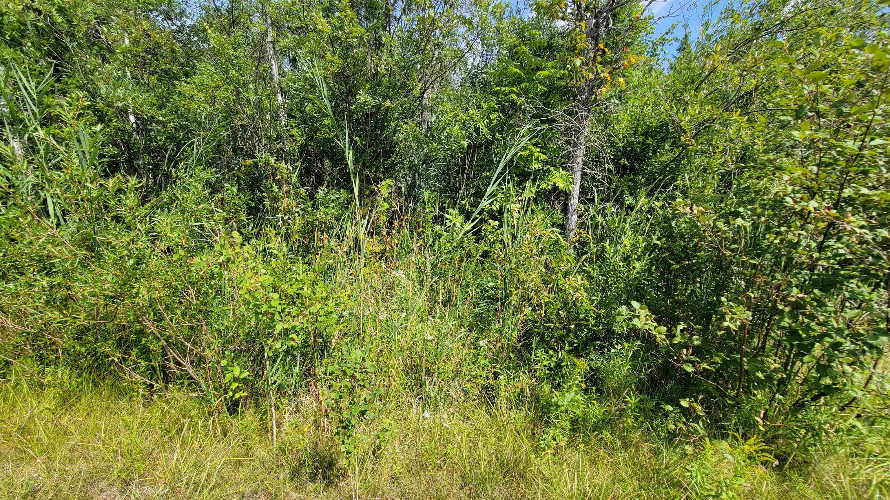 15225 Lakeview Drive Property Photo 6