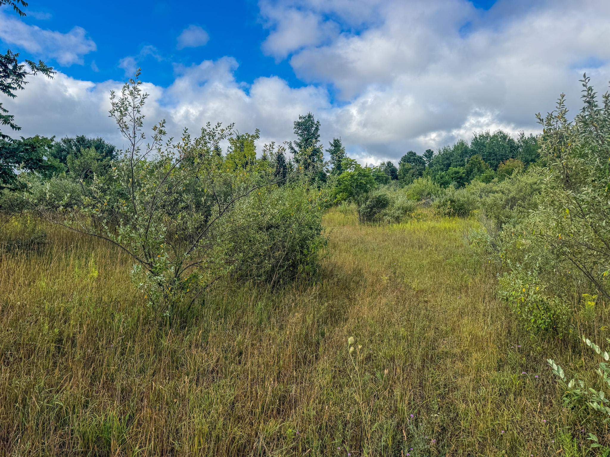 Parcel 4 E Darga Road Property Photo 4
