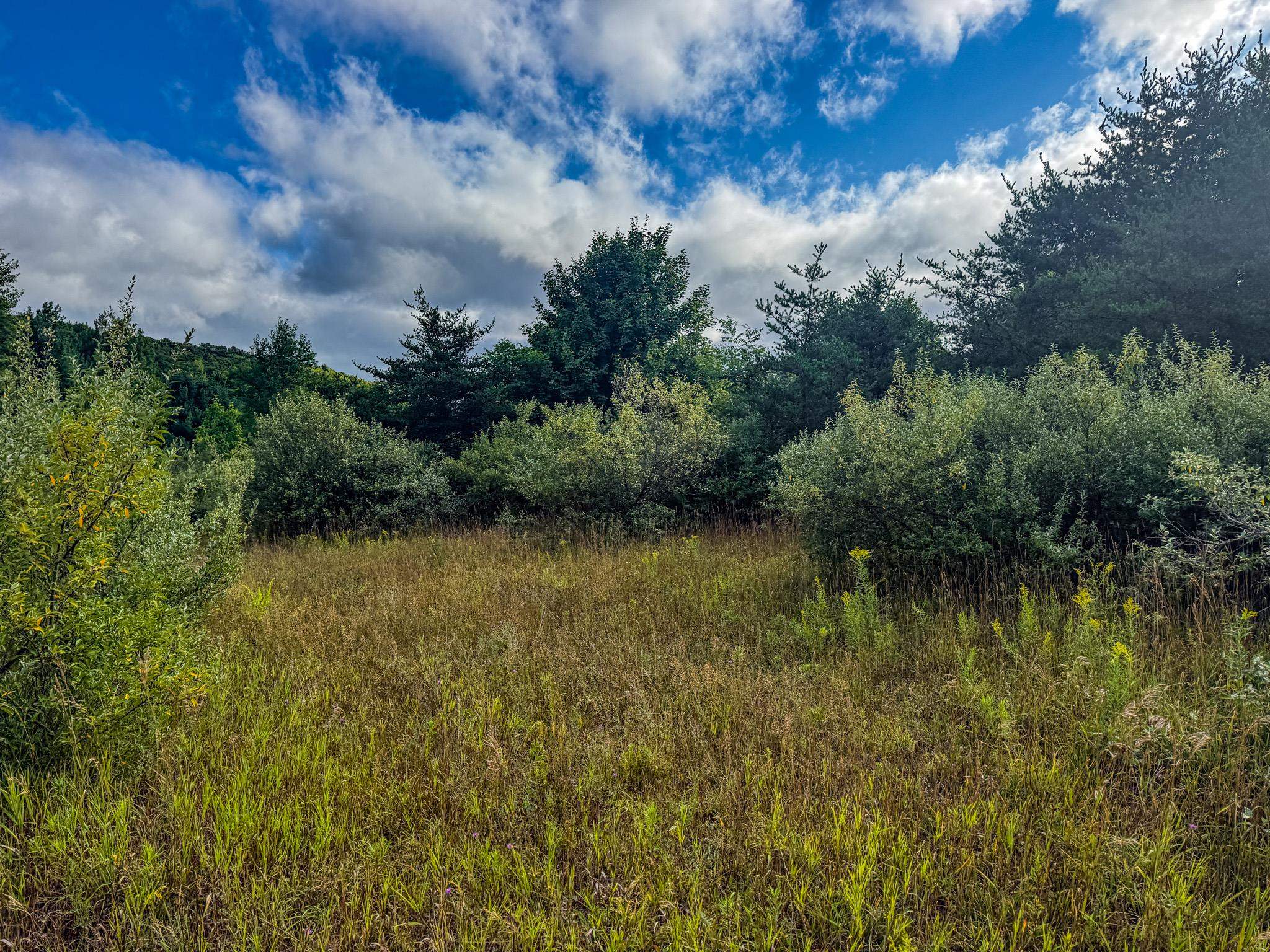 Parcel 4 E Darga Road Property Photo 6