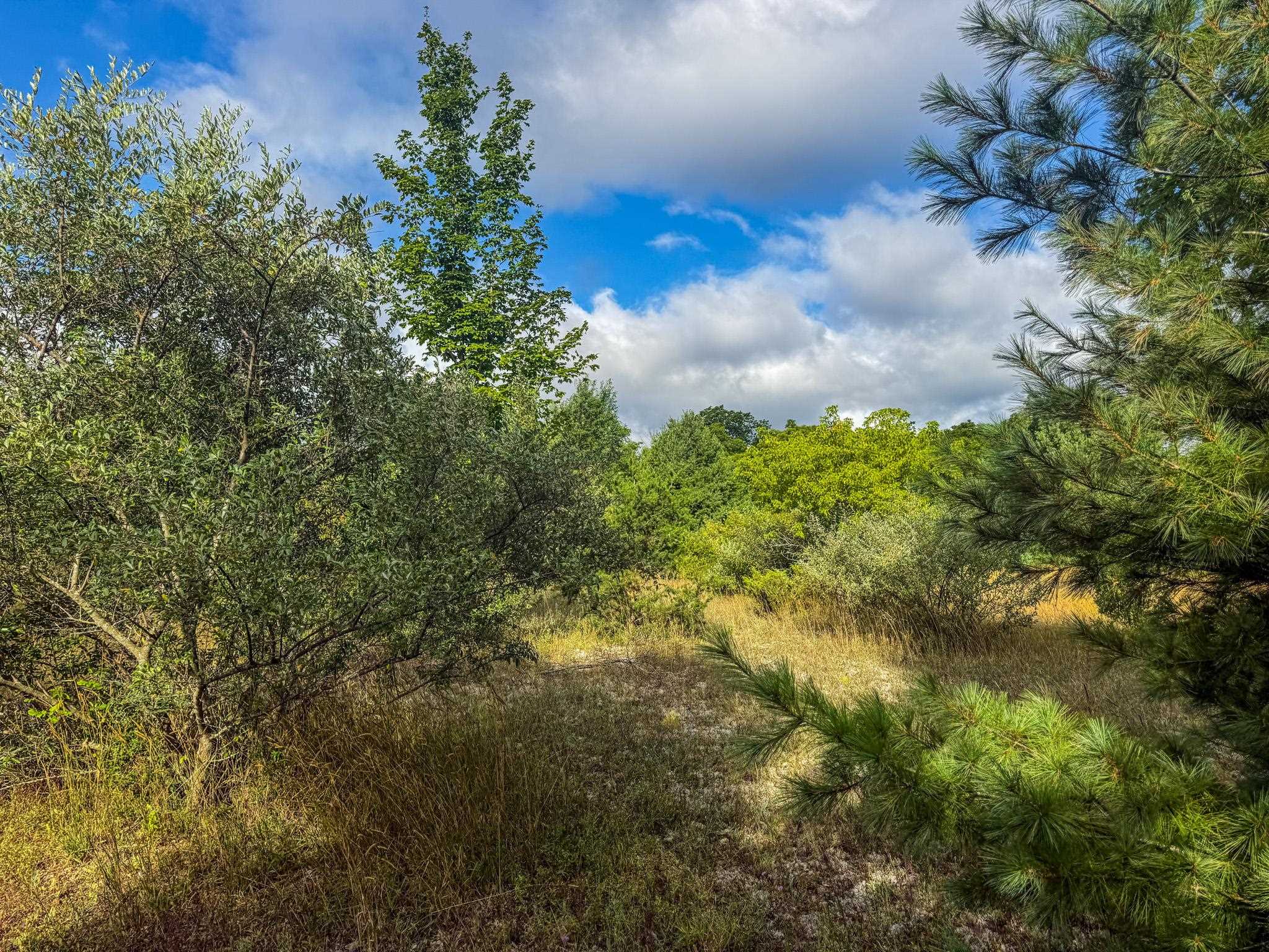 Parcel 4 E Darga Road Property Photo 8