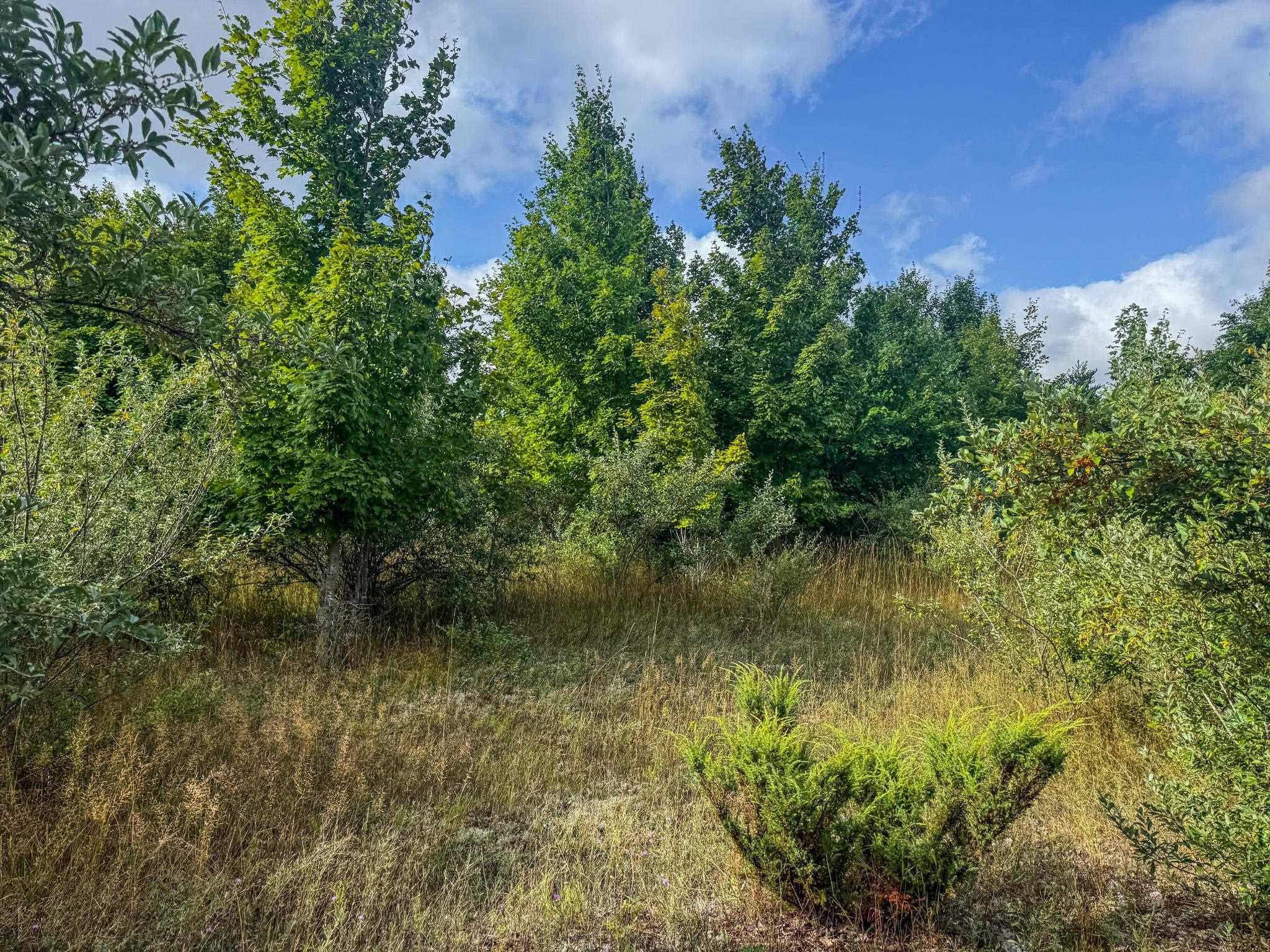 Parcel 4 E Darga Road Property Photo 10