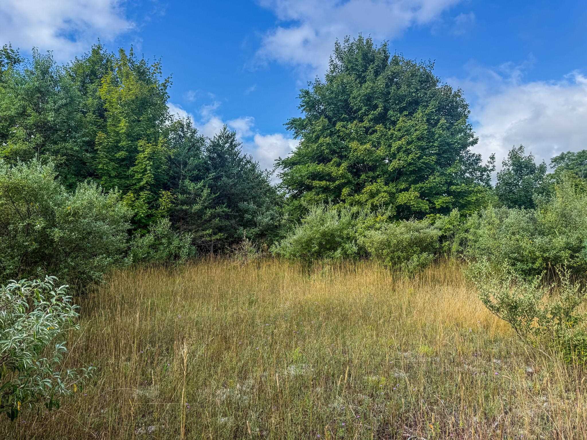 Parcel 4 E Darga Road Property Photo 11