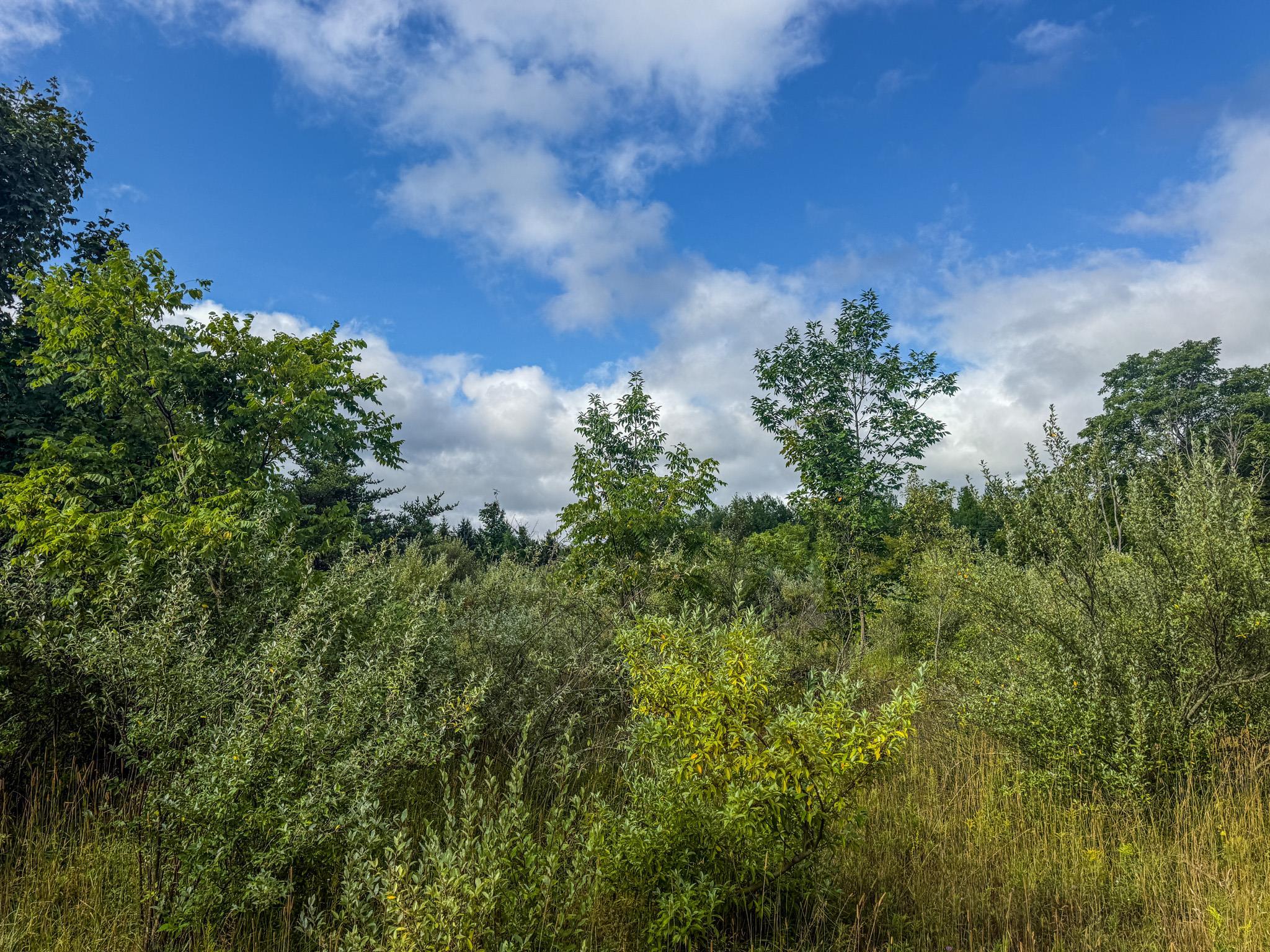 Parcel 4 E Darga Road Property Photo 12