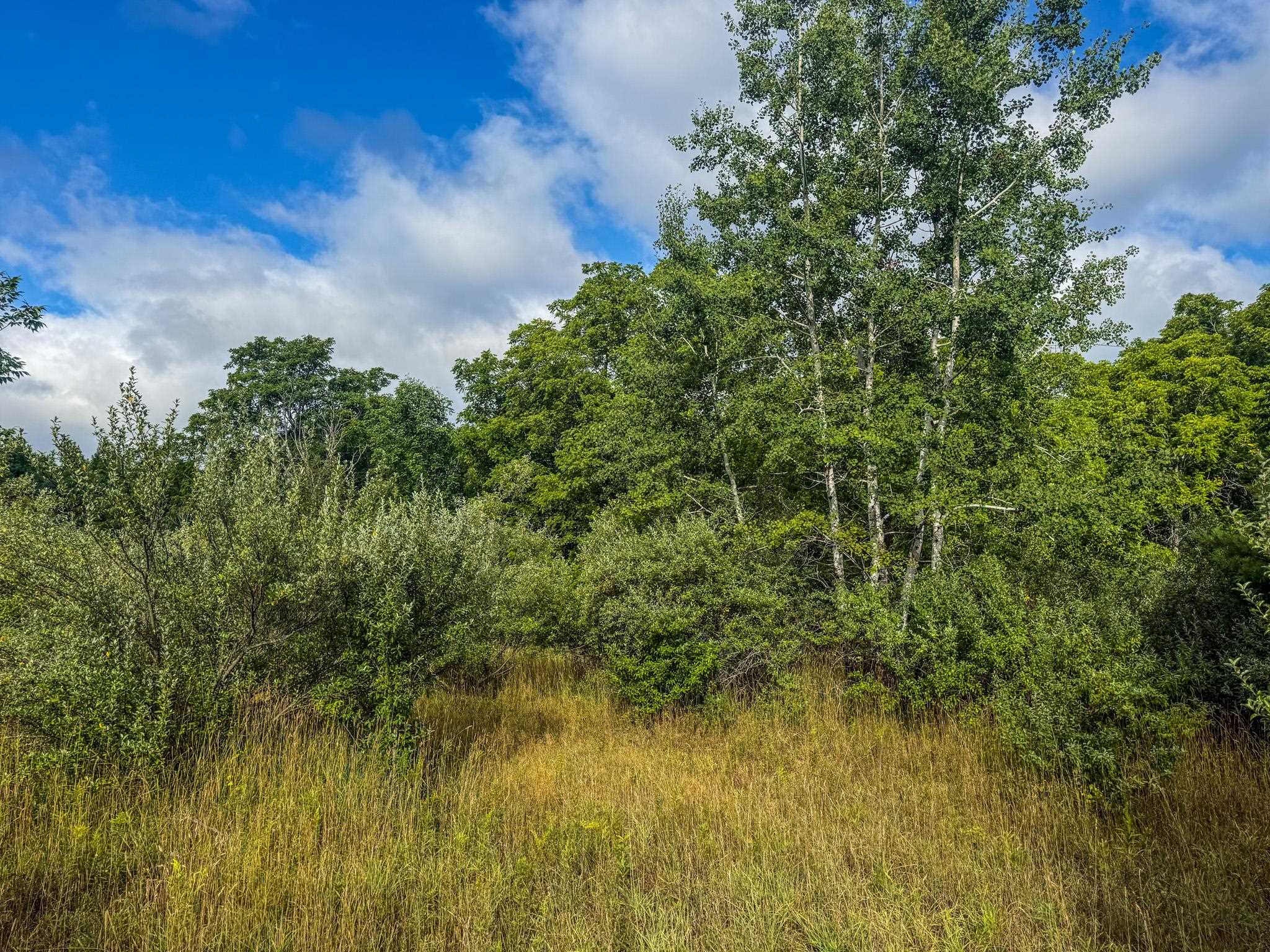 Parcel 4 E Darga Road Property Photo 13