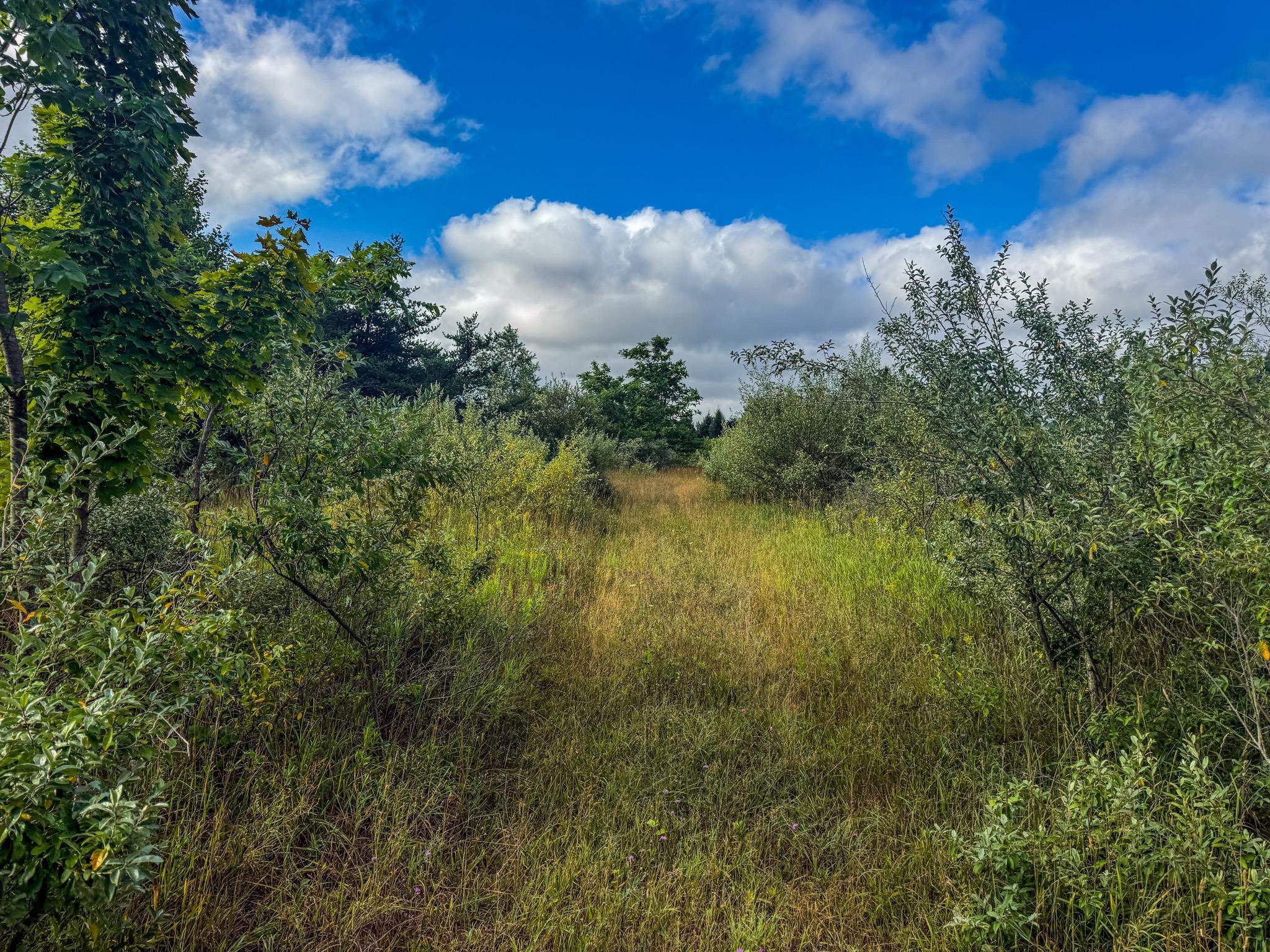 Parcel 4 E Darga Road Property Photo 15
