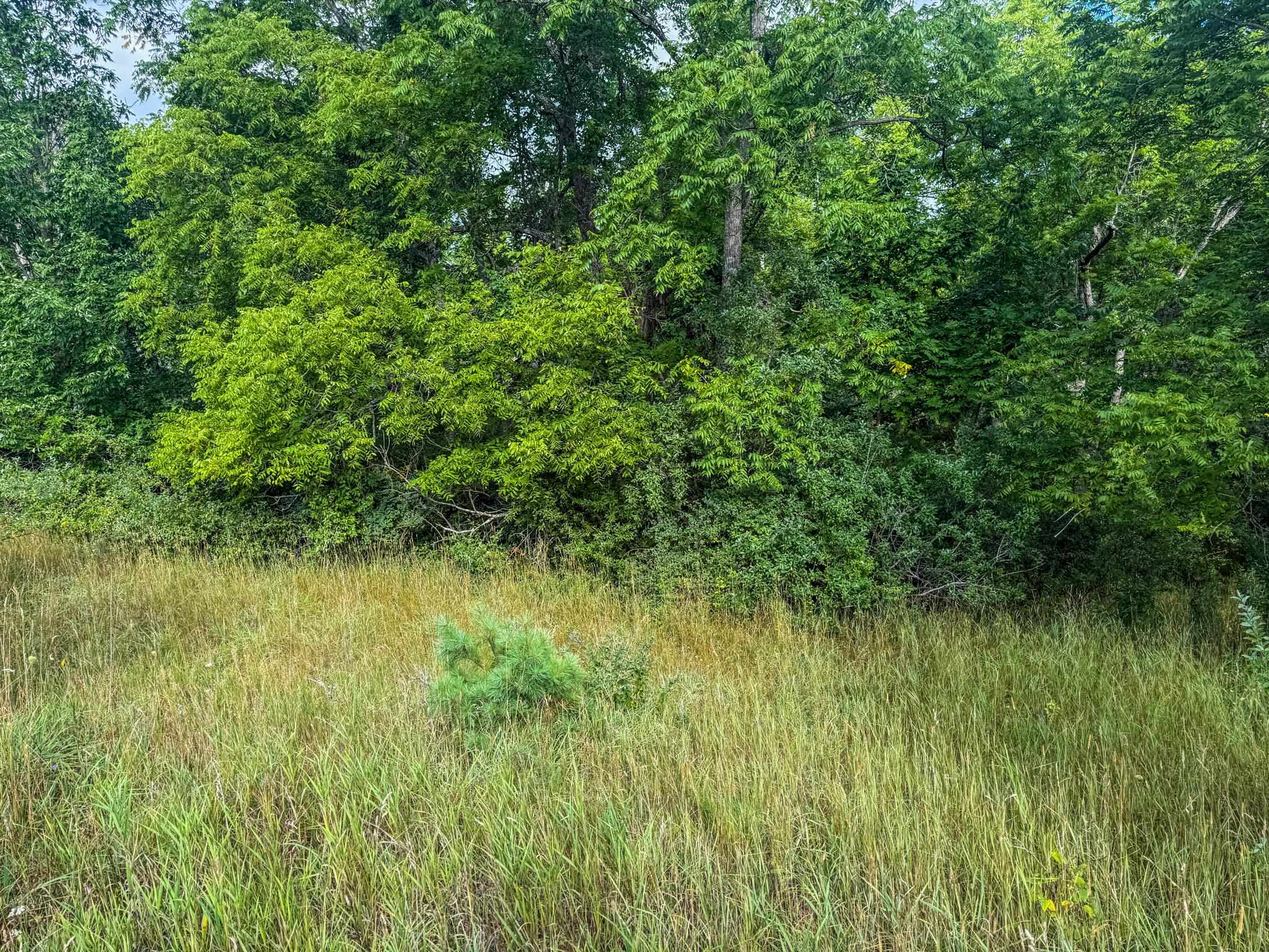 Parcel 4 E Darga Road Property Photo 16