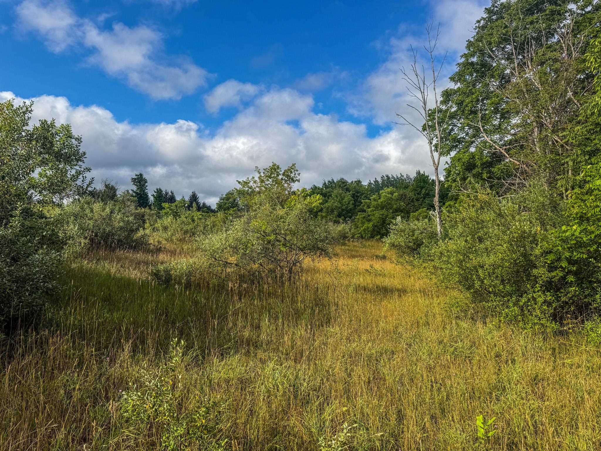 Parcel 4 E Darga Road Property Photo 17