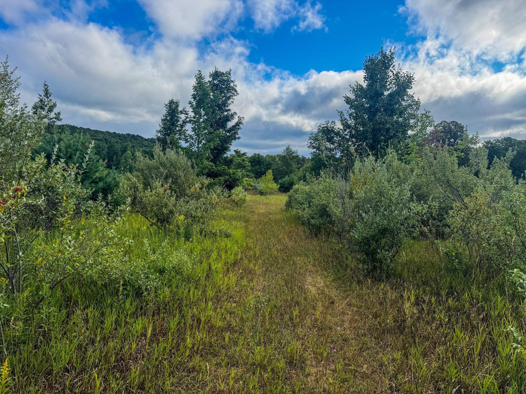 Parcel 4 E Darga Road Property Photo 22