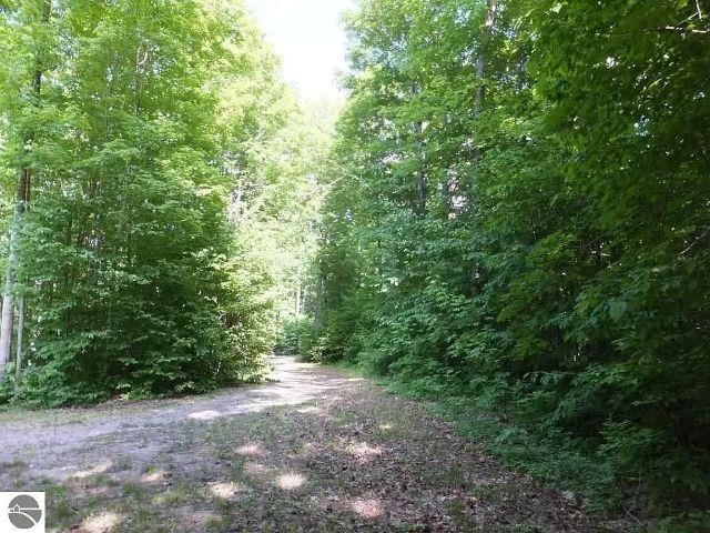 2228 Northwoods Drive Property Photo 4