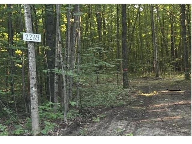 2228 Northwoods Drive Property Photo 5