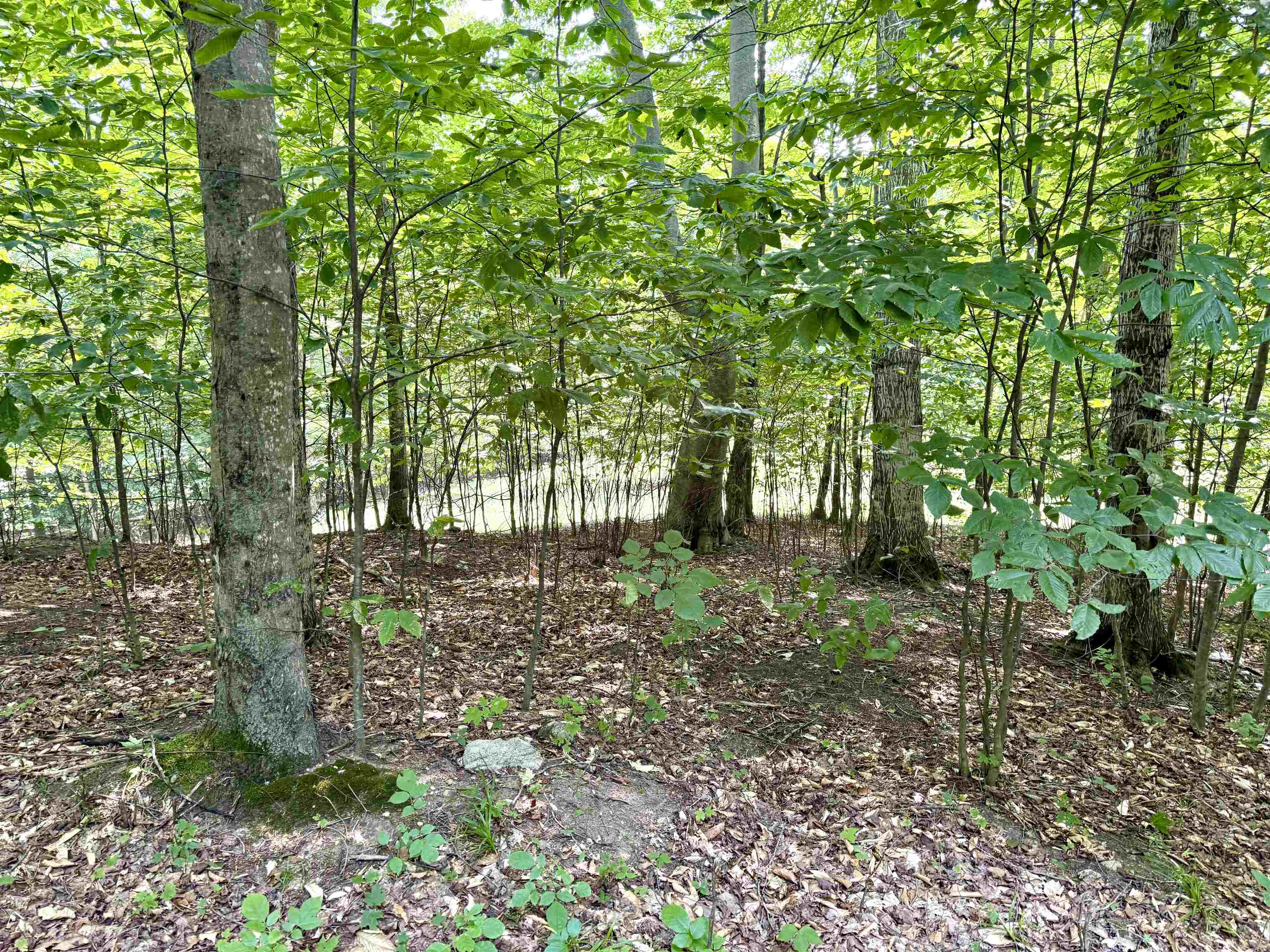 15 S Mistys Trail Property Photo 1
