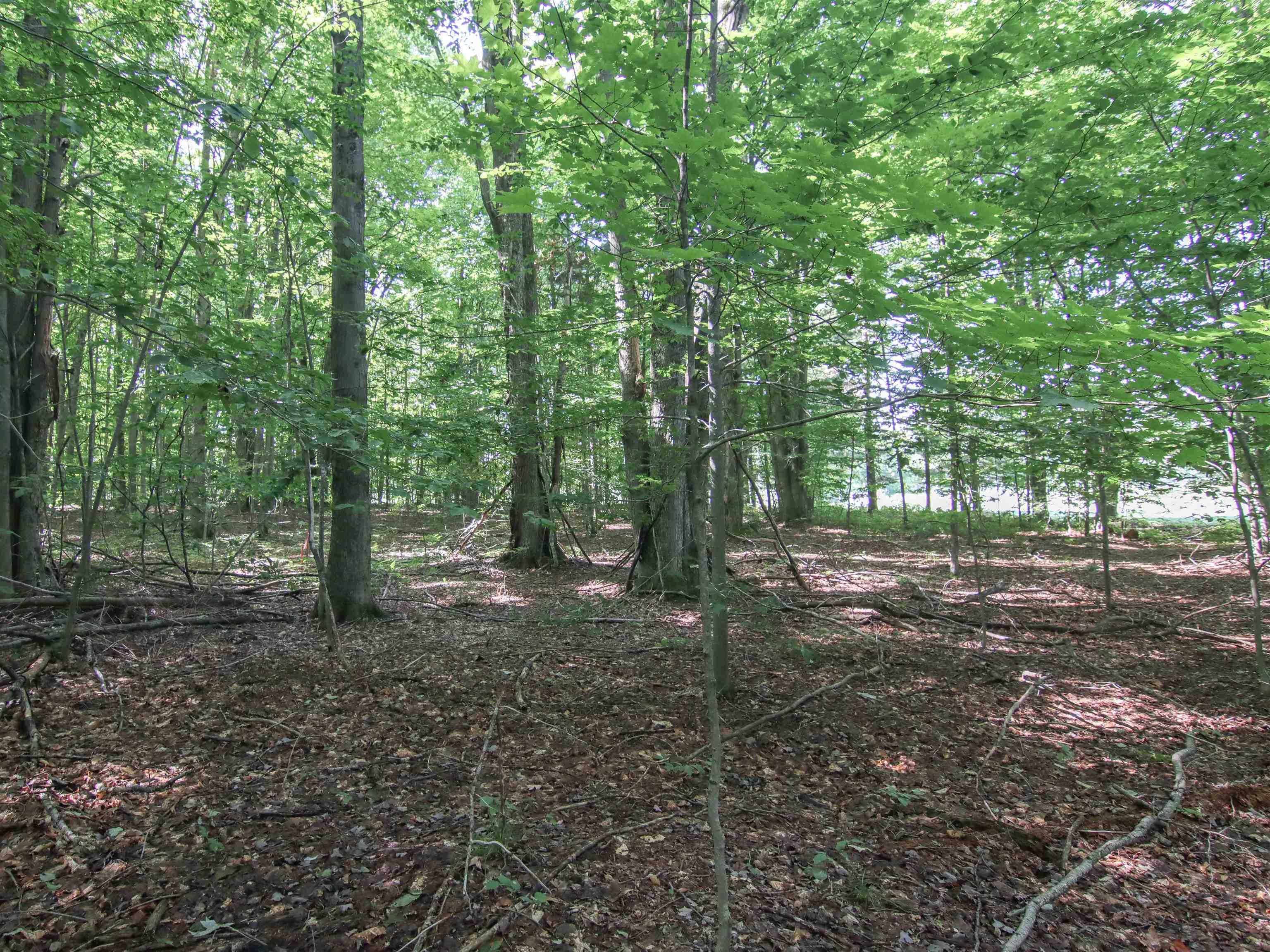 000-unit 33 Mountainwoods Drive Property Photo 5