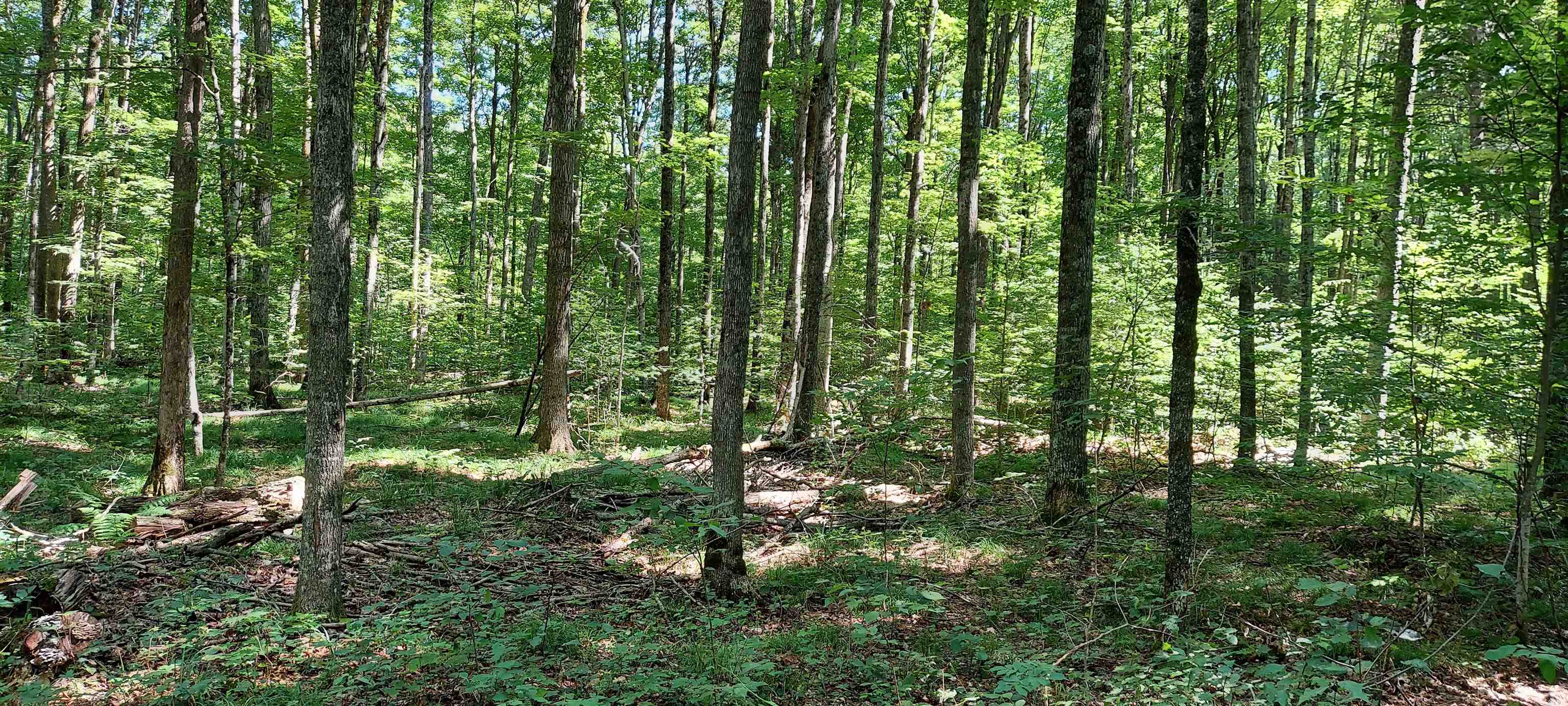 3623 Db Trail Property Photo 14