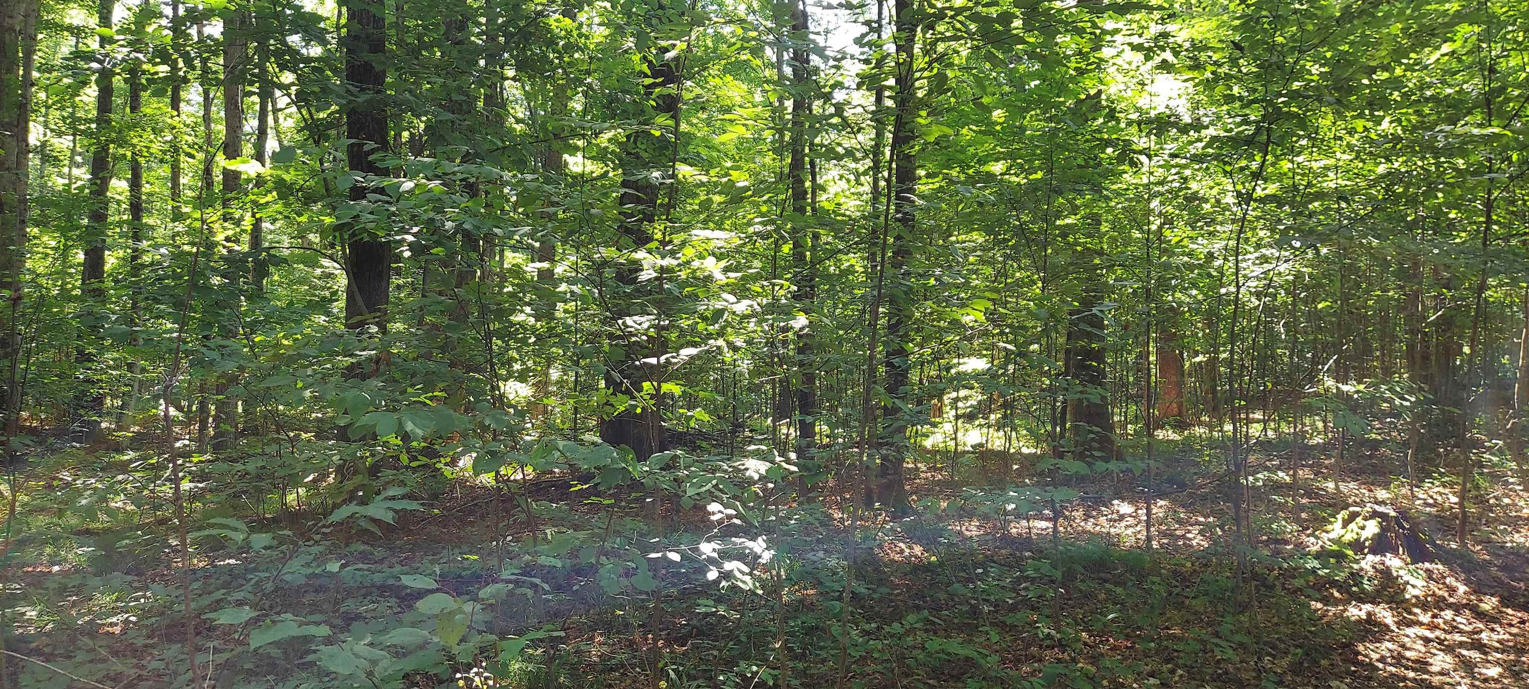 3623 Db Trail Property Photo 15