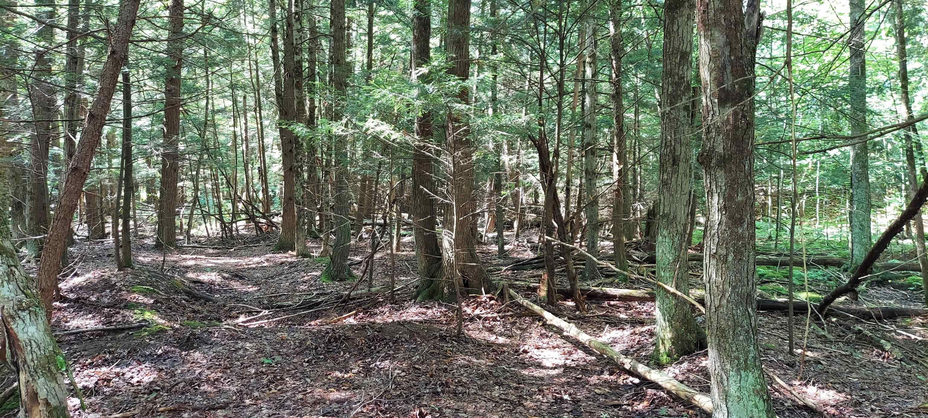 3623 Db Trail Property Photo 17