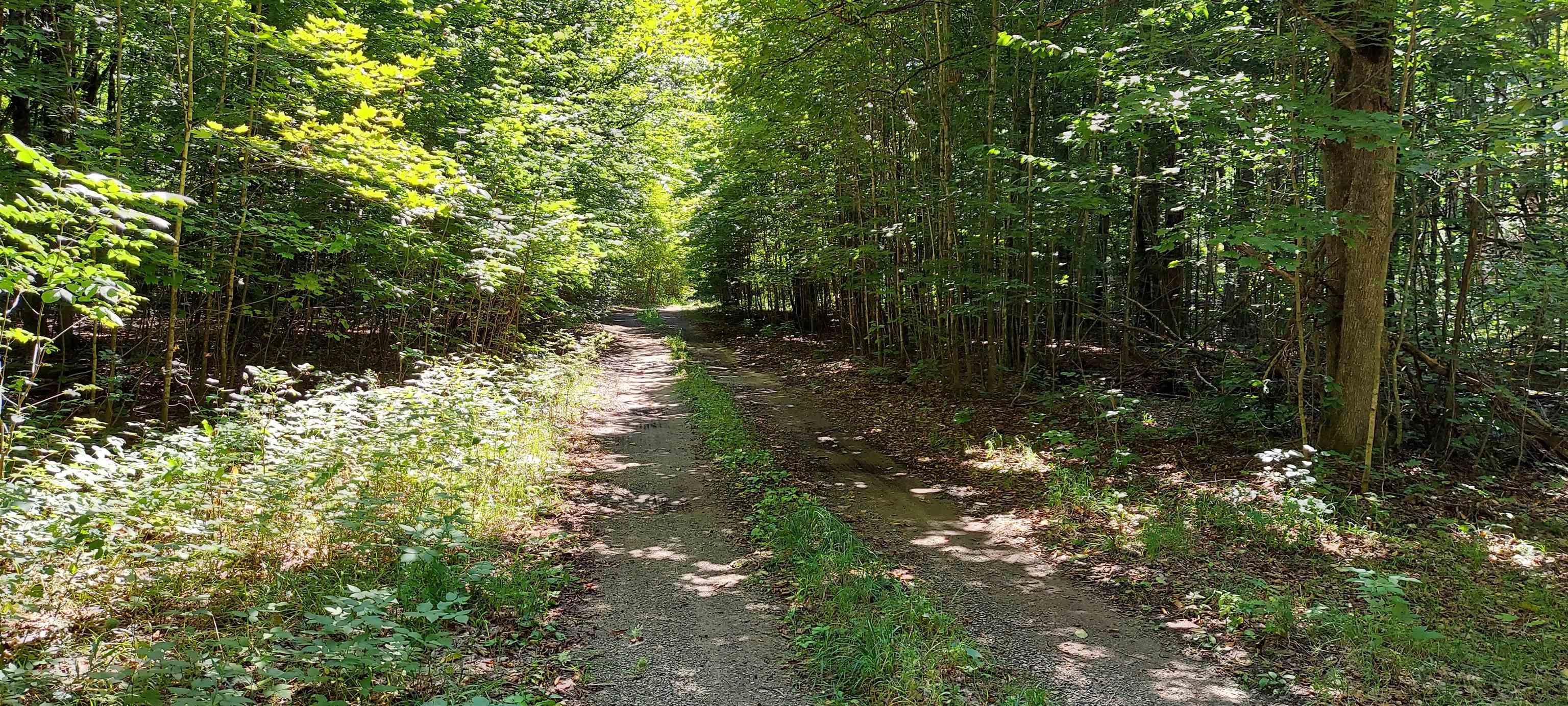 3623 Db Trail Property Photo 20