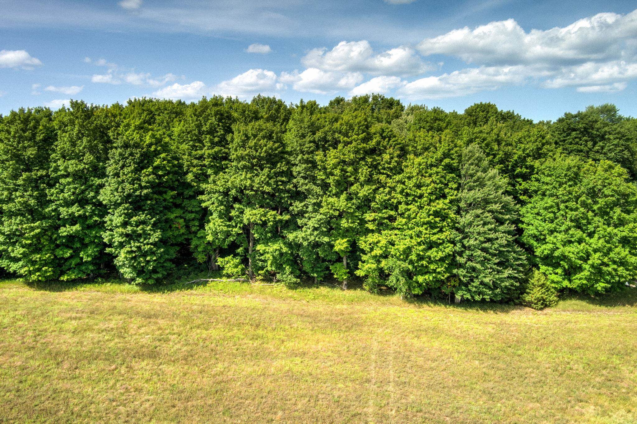 V/l E Center Road Property Photo 3