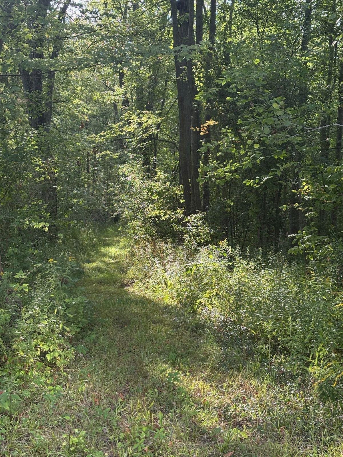 4589 Geneva Road Property Photo 28