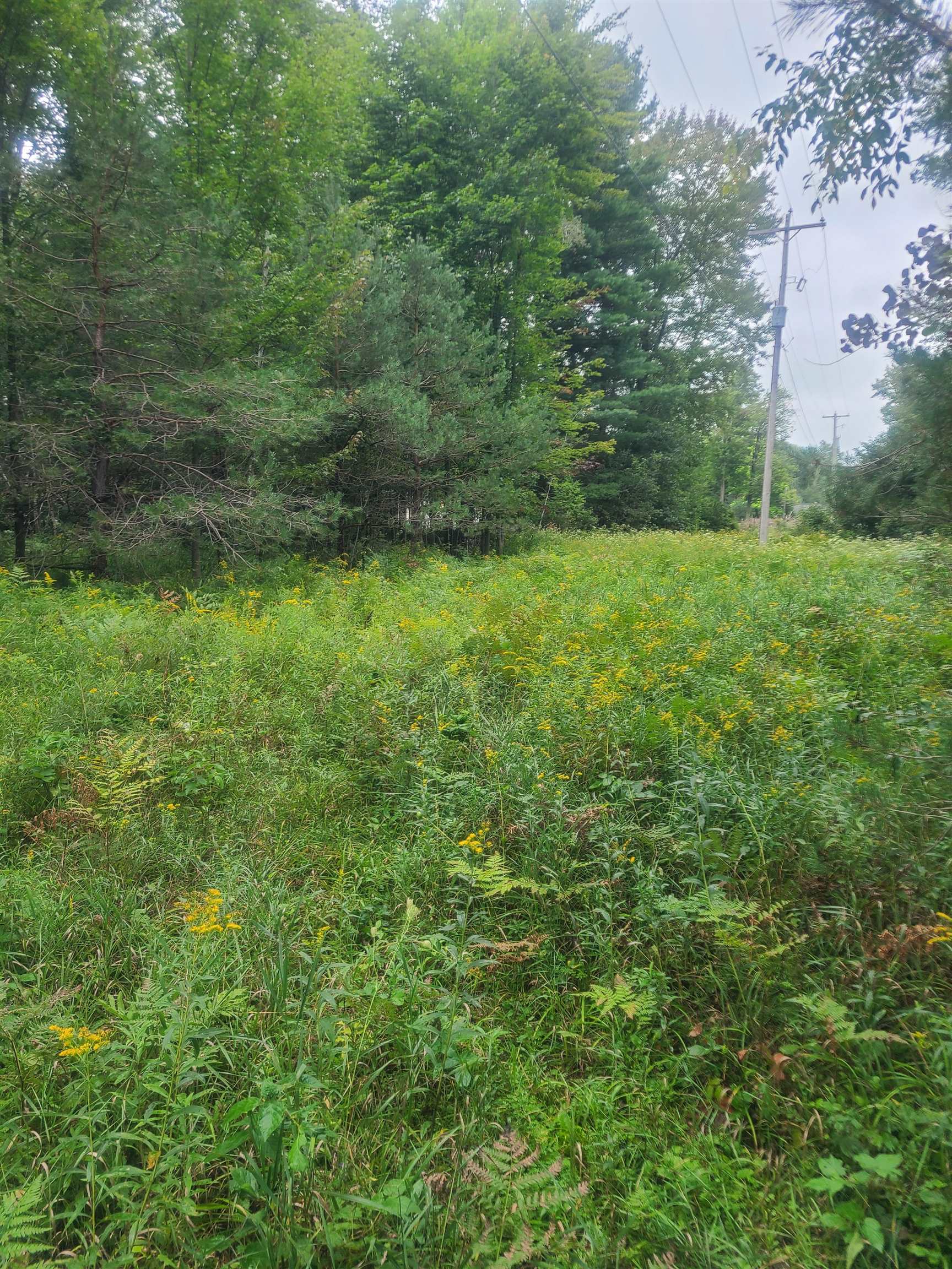 00 M-55 Property Photo 1
