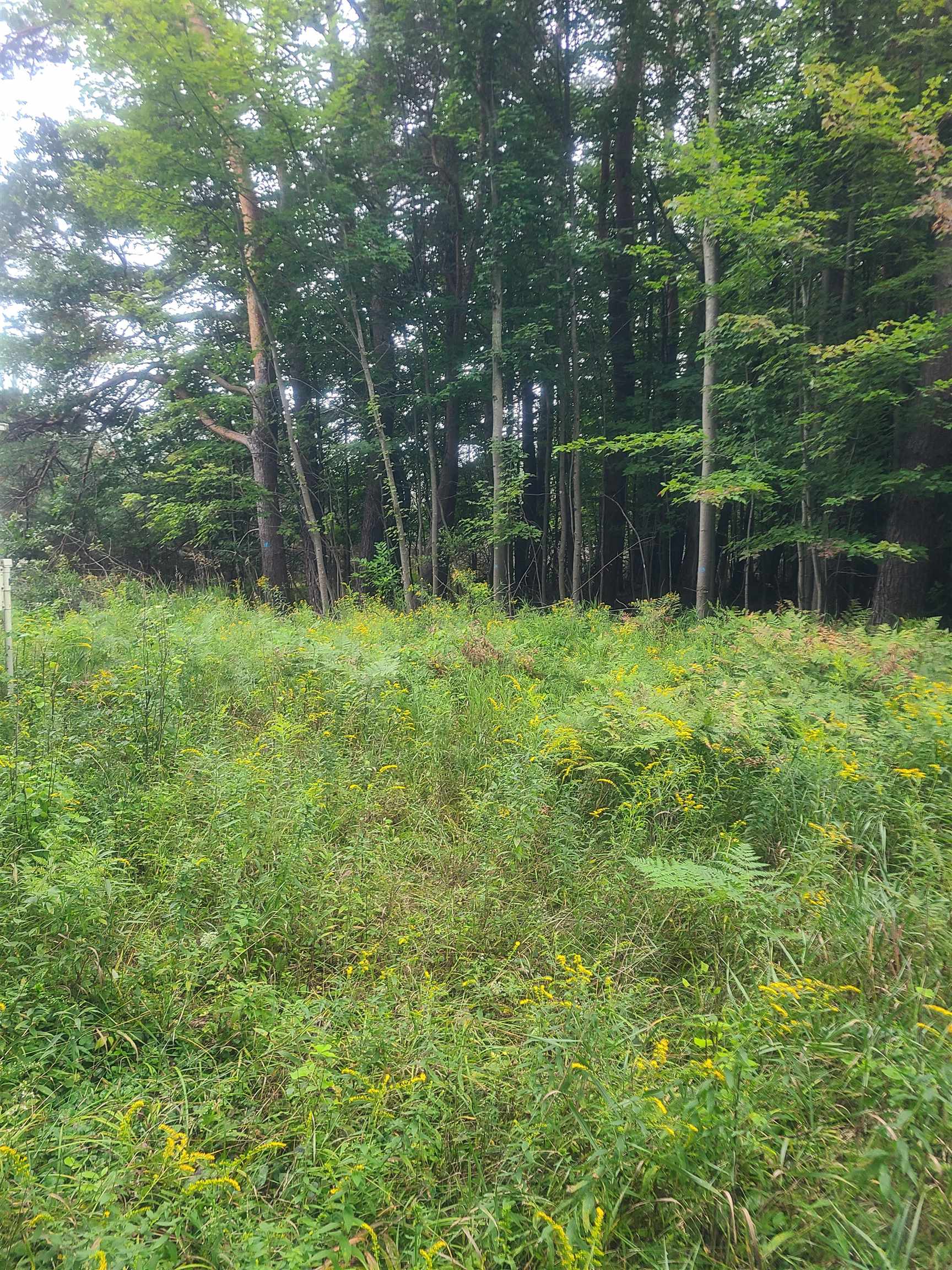 00 M-55 Property Photo 2
