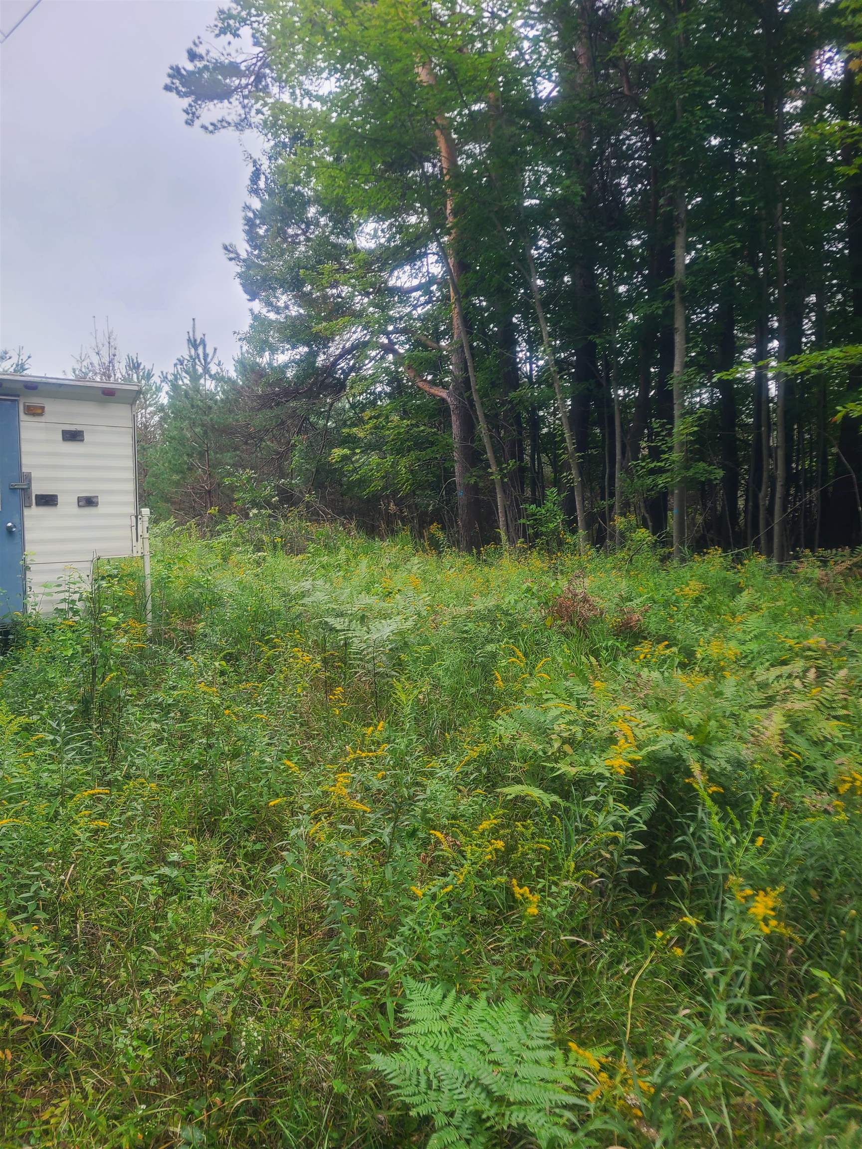 00 M-55 Property Photo 6