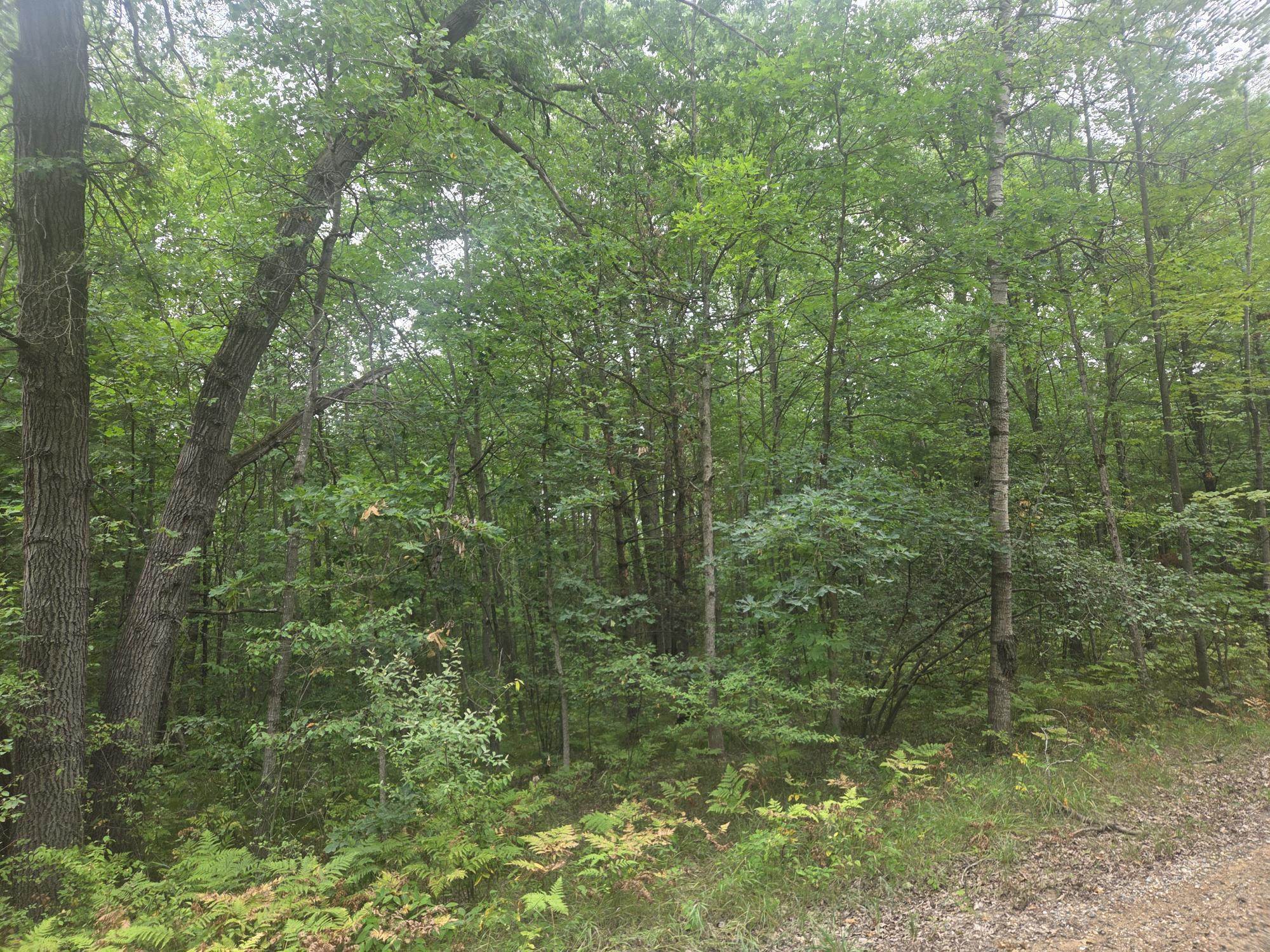 7873 Wild Oaks Drive Property Photo 1