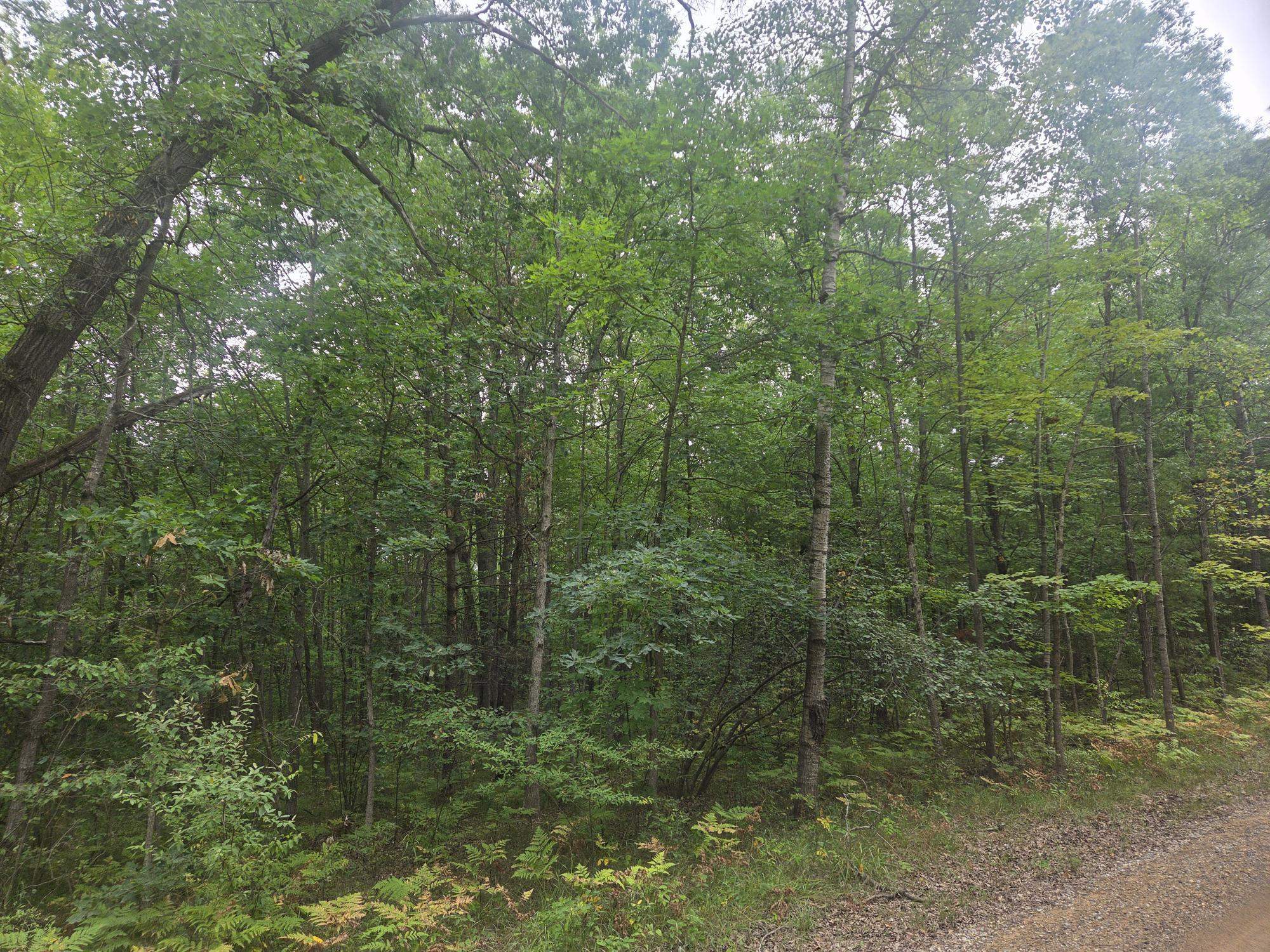 7873 Wild Oaks Drive Property Photo 2