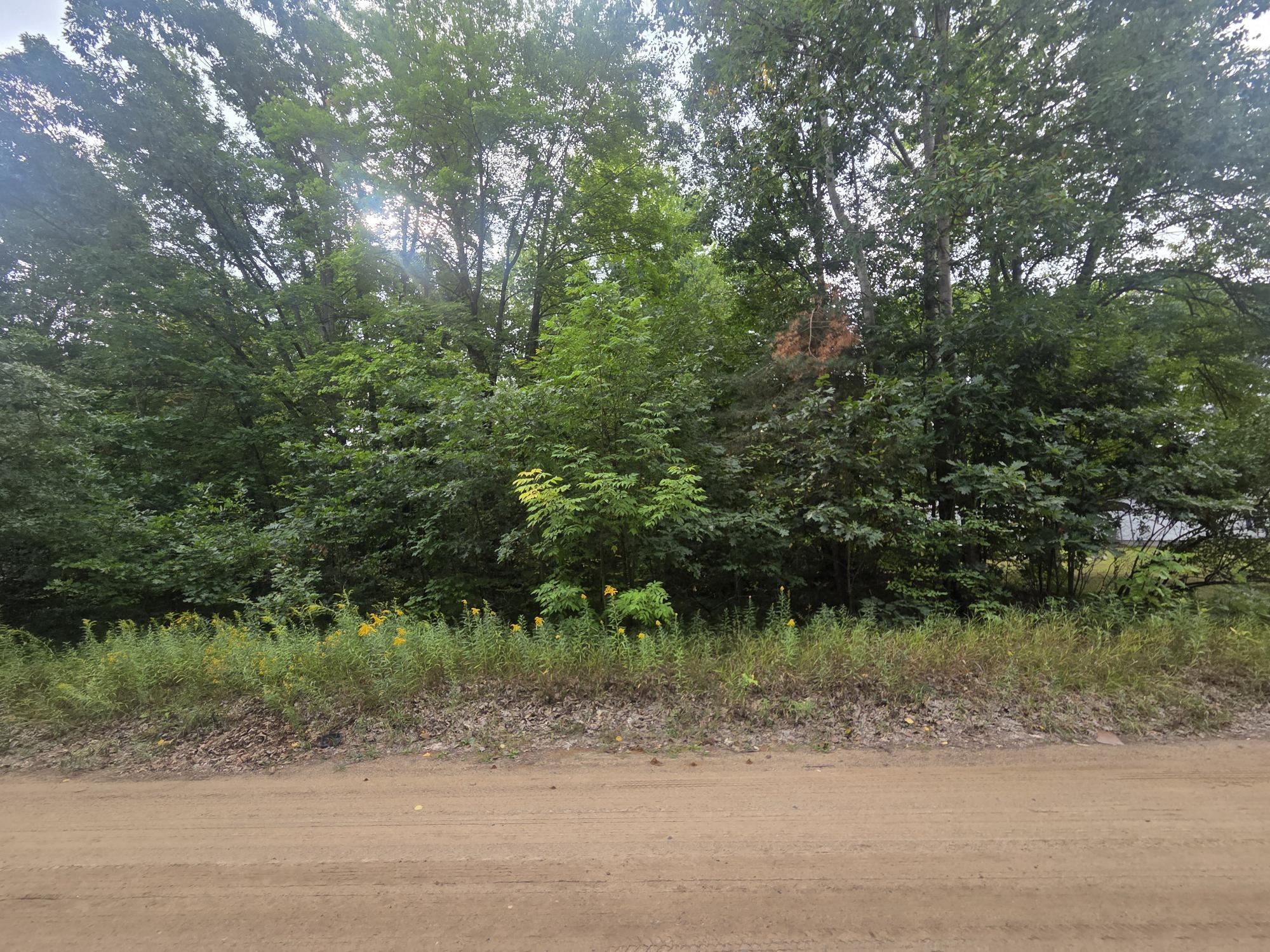 7873 Wild Oaks Drive Property Photo 4