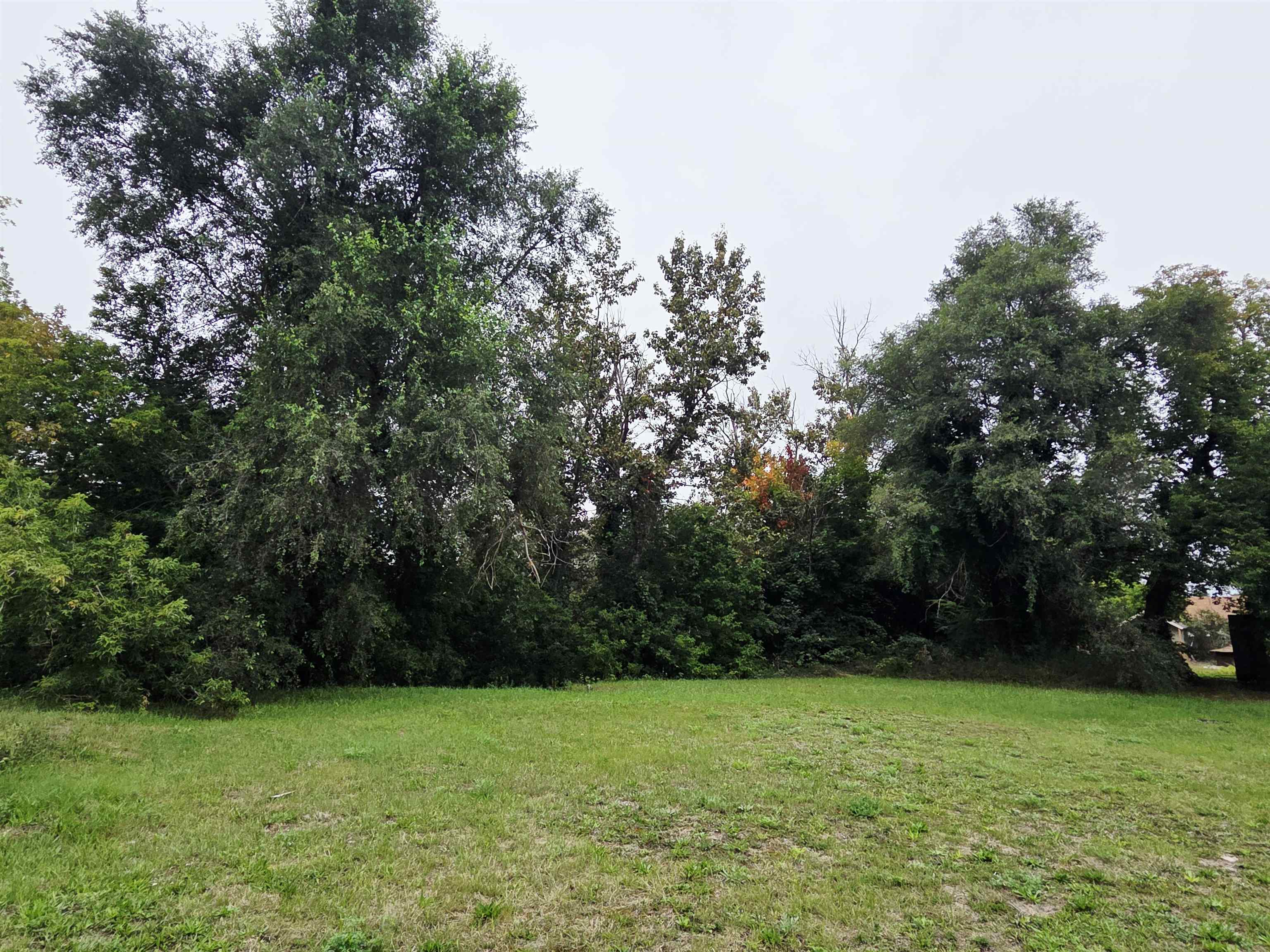 207 Alger Court