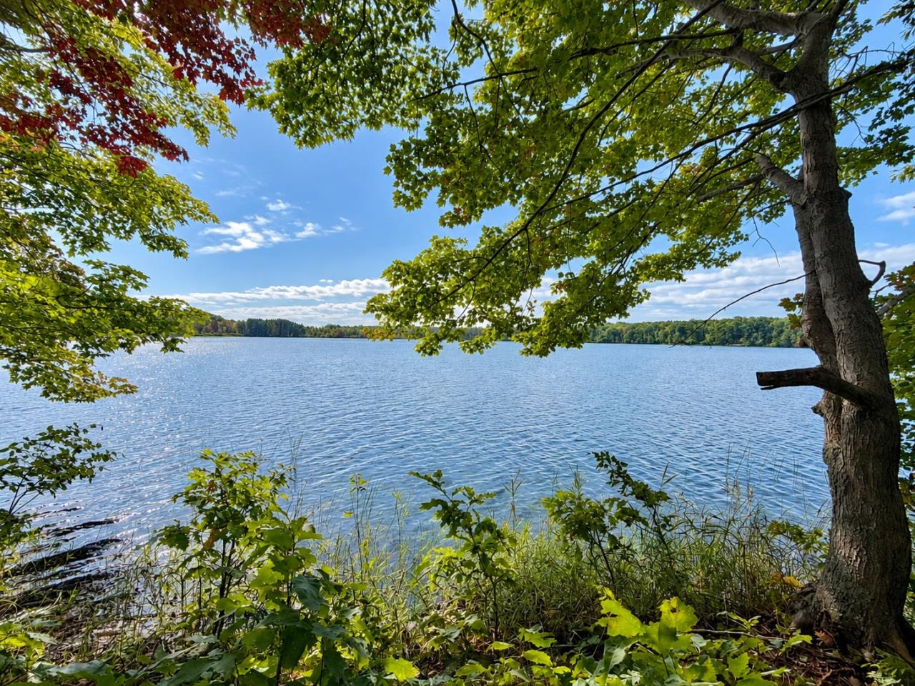 TBD Fox Lake Drive