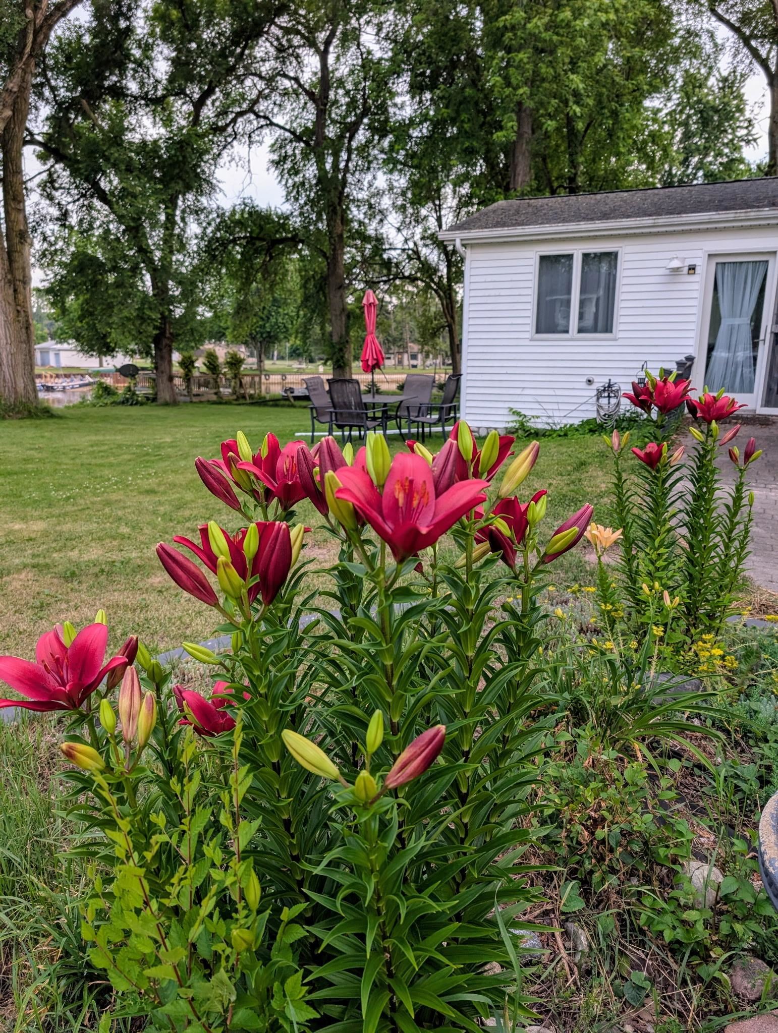 426 E Michigan Avenue Property Photo 58