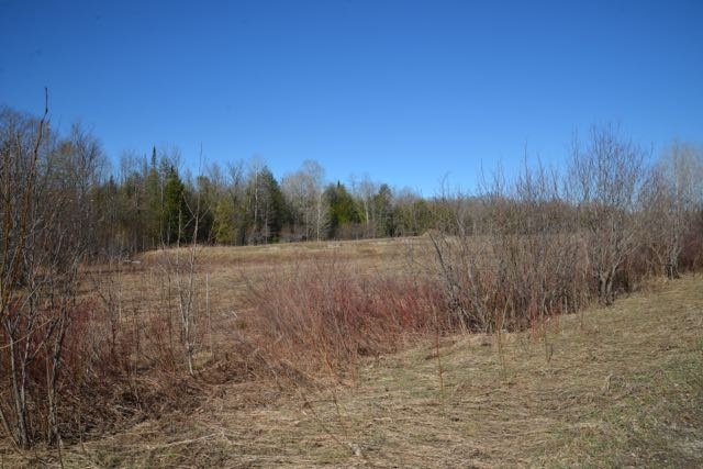 0 Wilson Road Property Photo 4