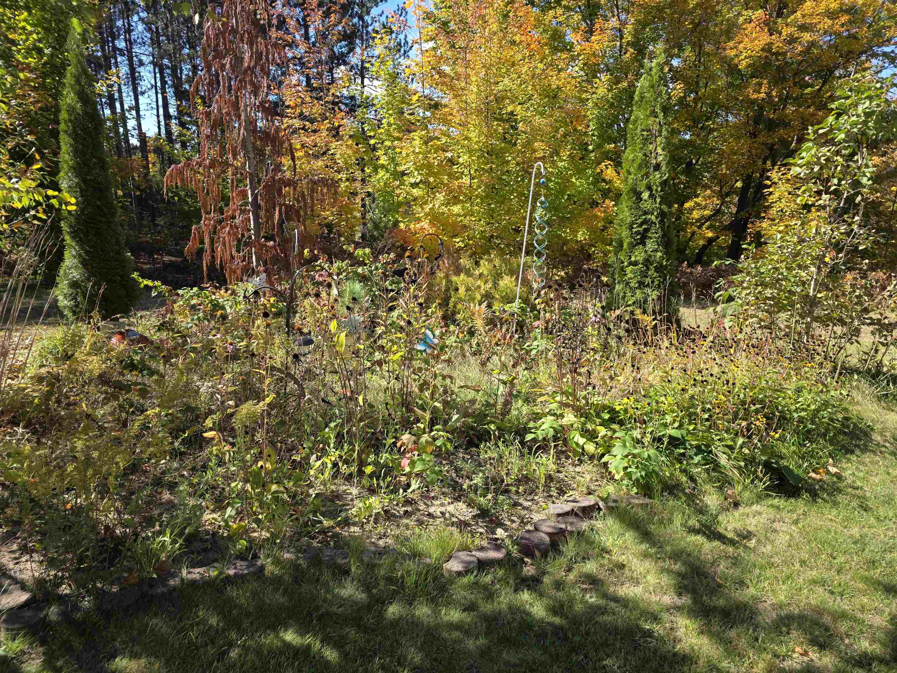11443 Tope Lane Property Photo 21