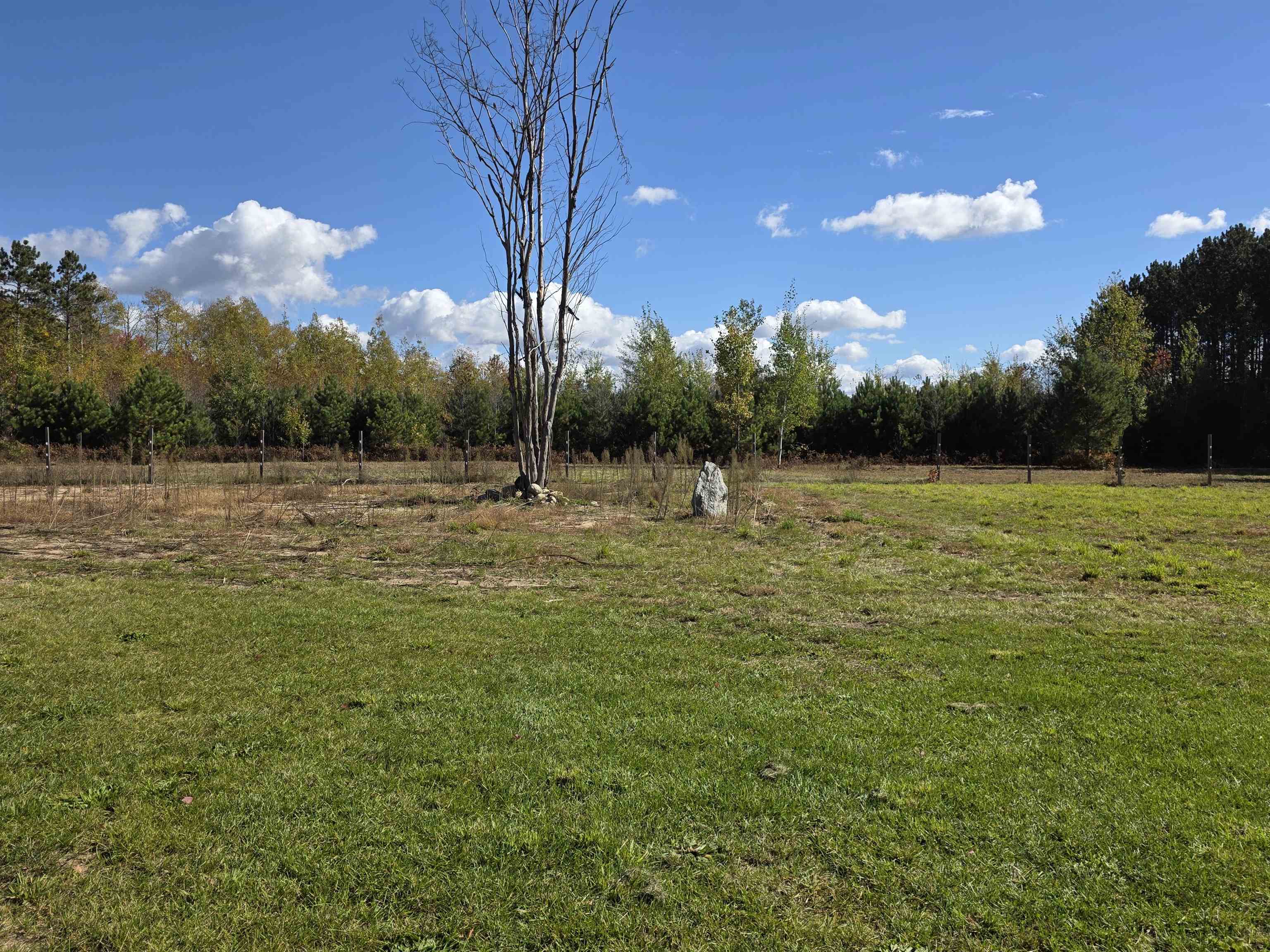 11443 Tope Lane Property Photo 22