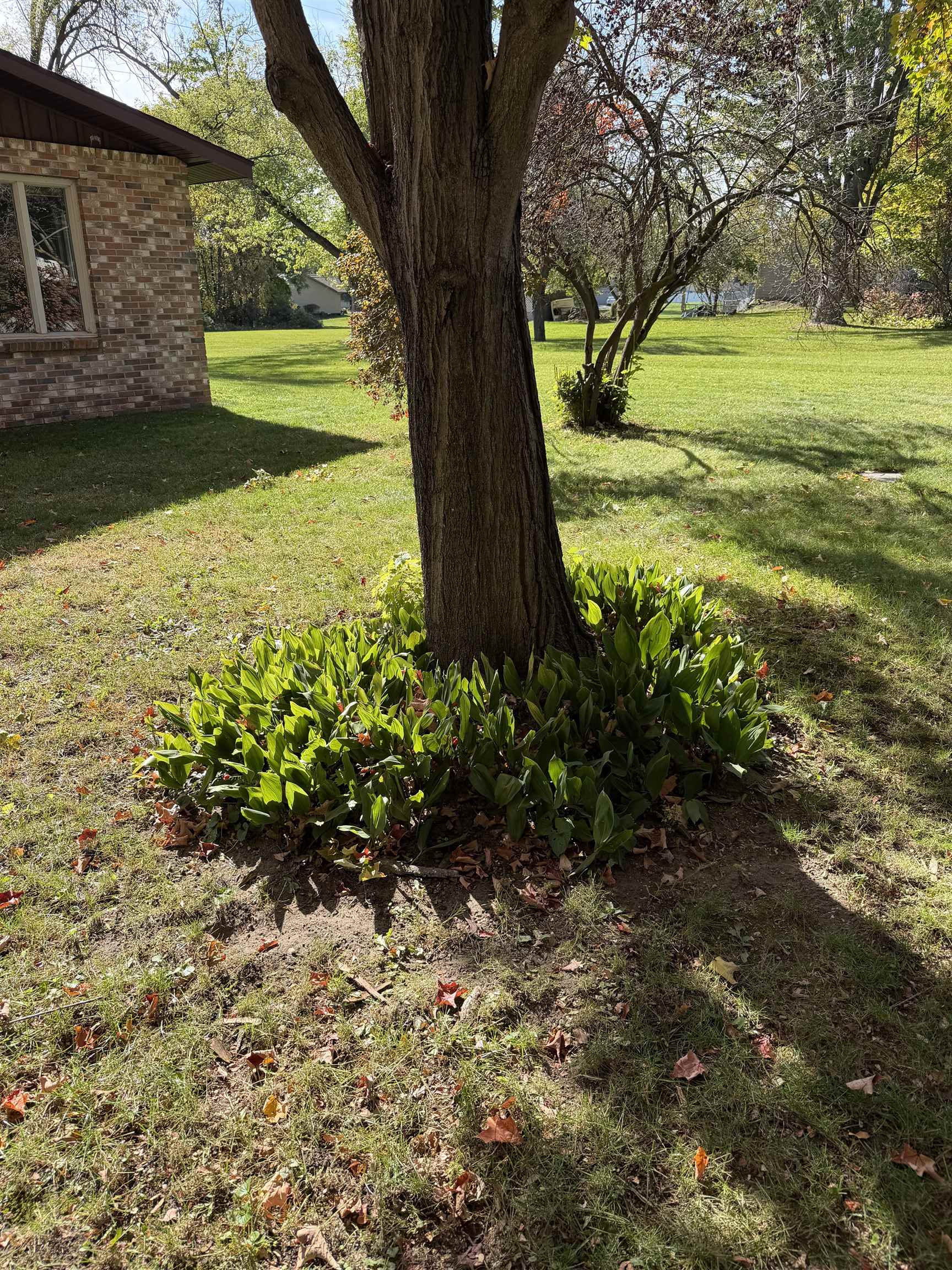 623 Mill Street Property Photo 39