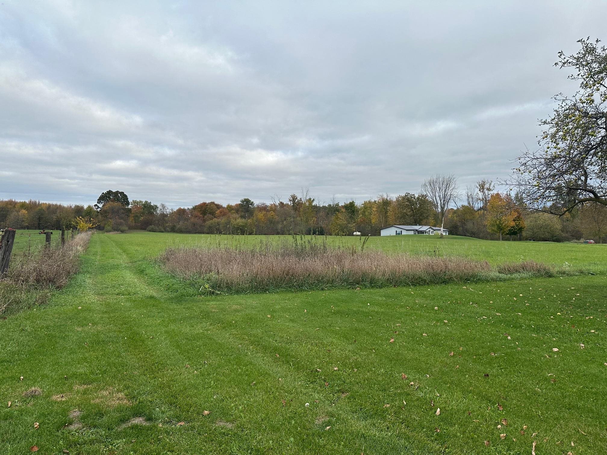 11627 S Green Property Photo 27