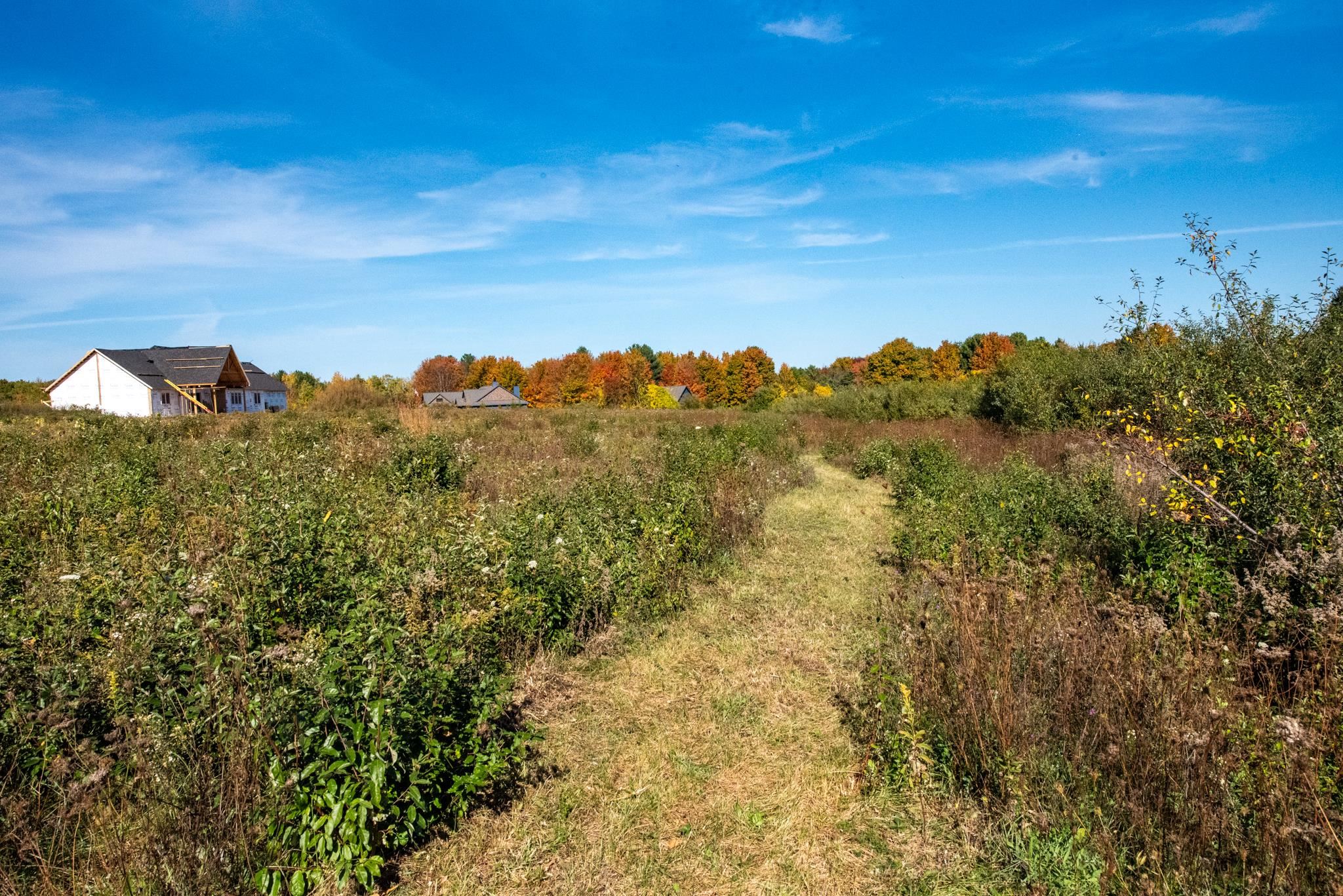 Lot 9 Elk Vista Court Property Photo 4