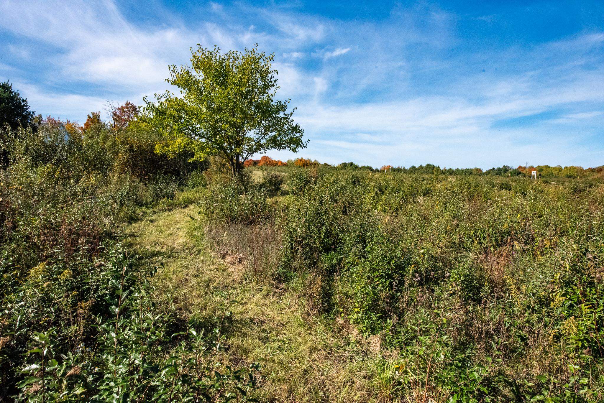 Lot 9 Elk Vista Court Property Photo 5