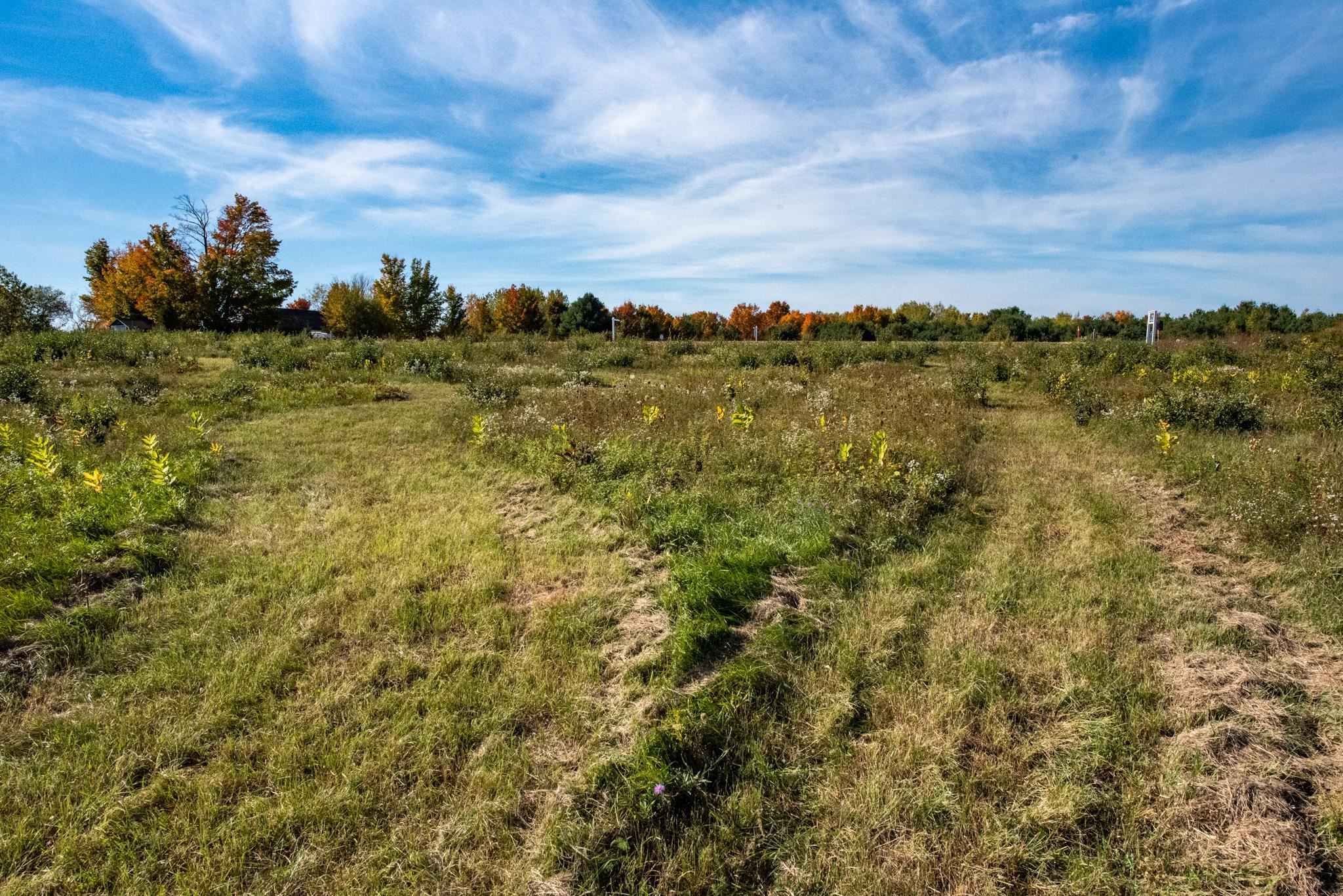 Lot 9 Elk Vista Court Property Photo 6